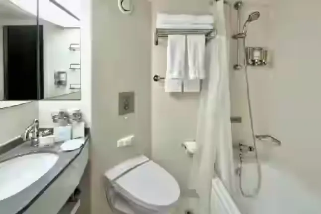 大型海景水療客房 5