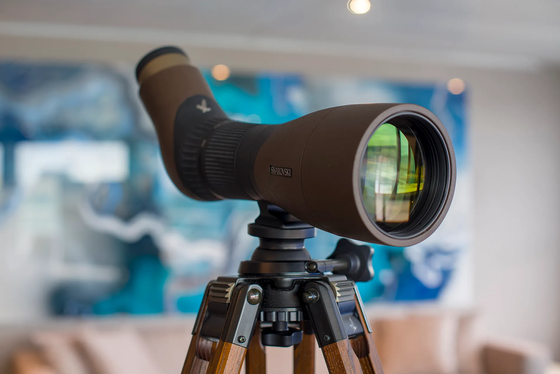 業主的頂層套房 10