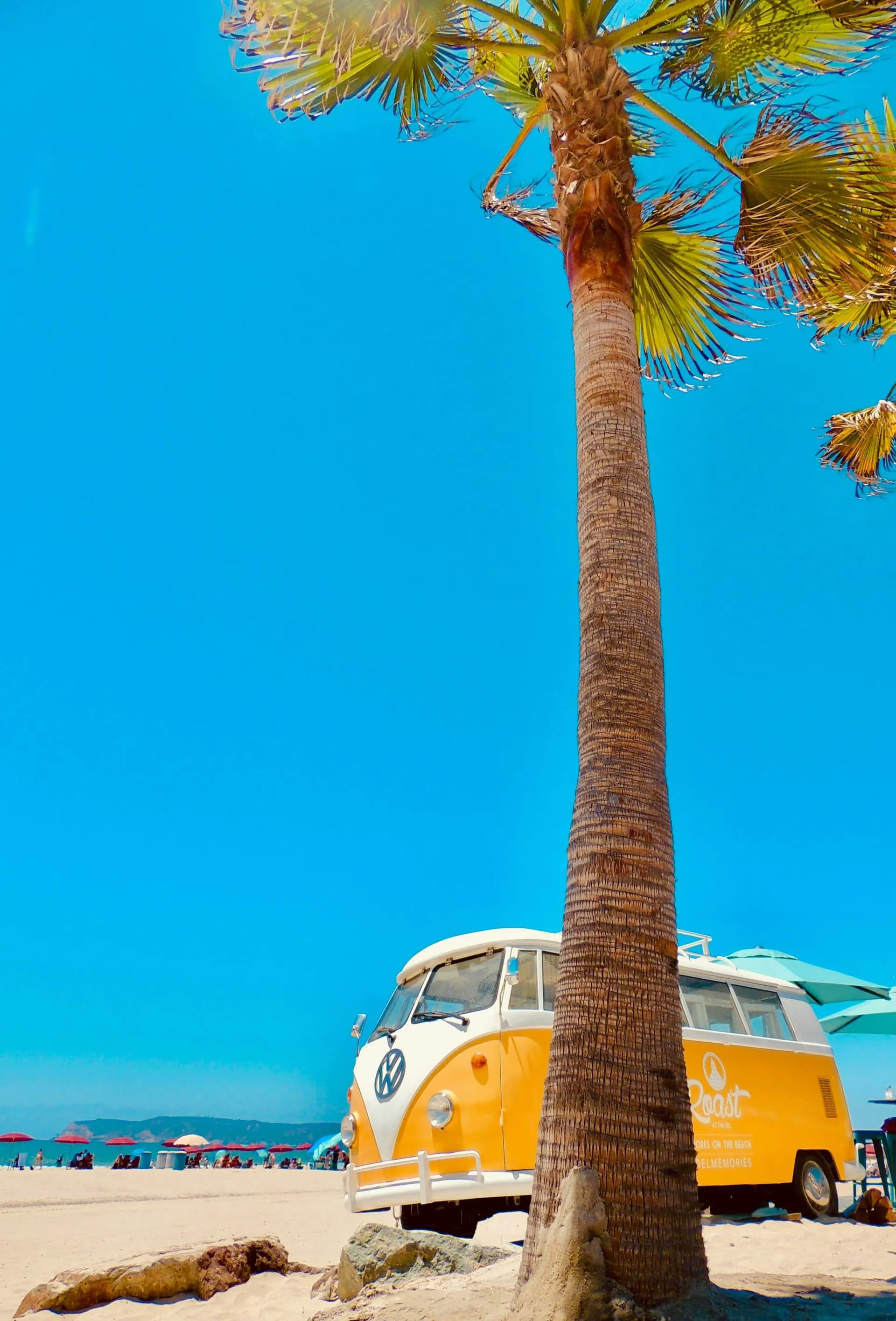 從聖地牙哥出發的巴哈郵輪 — 迪士尼郵輪 · 迪士尼奇妙號