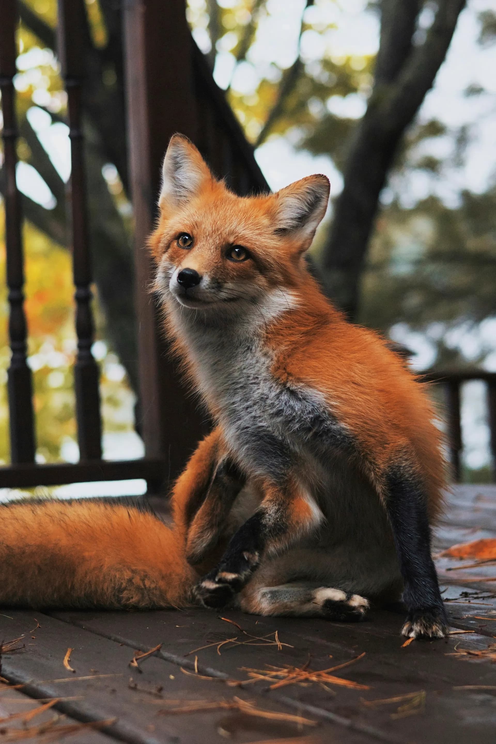 パリー サウンド 3