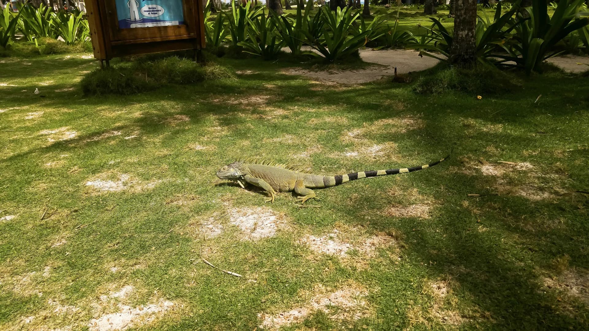 Исла Сан Андрес 1