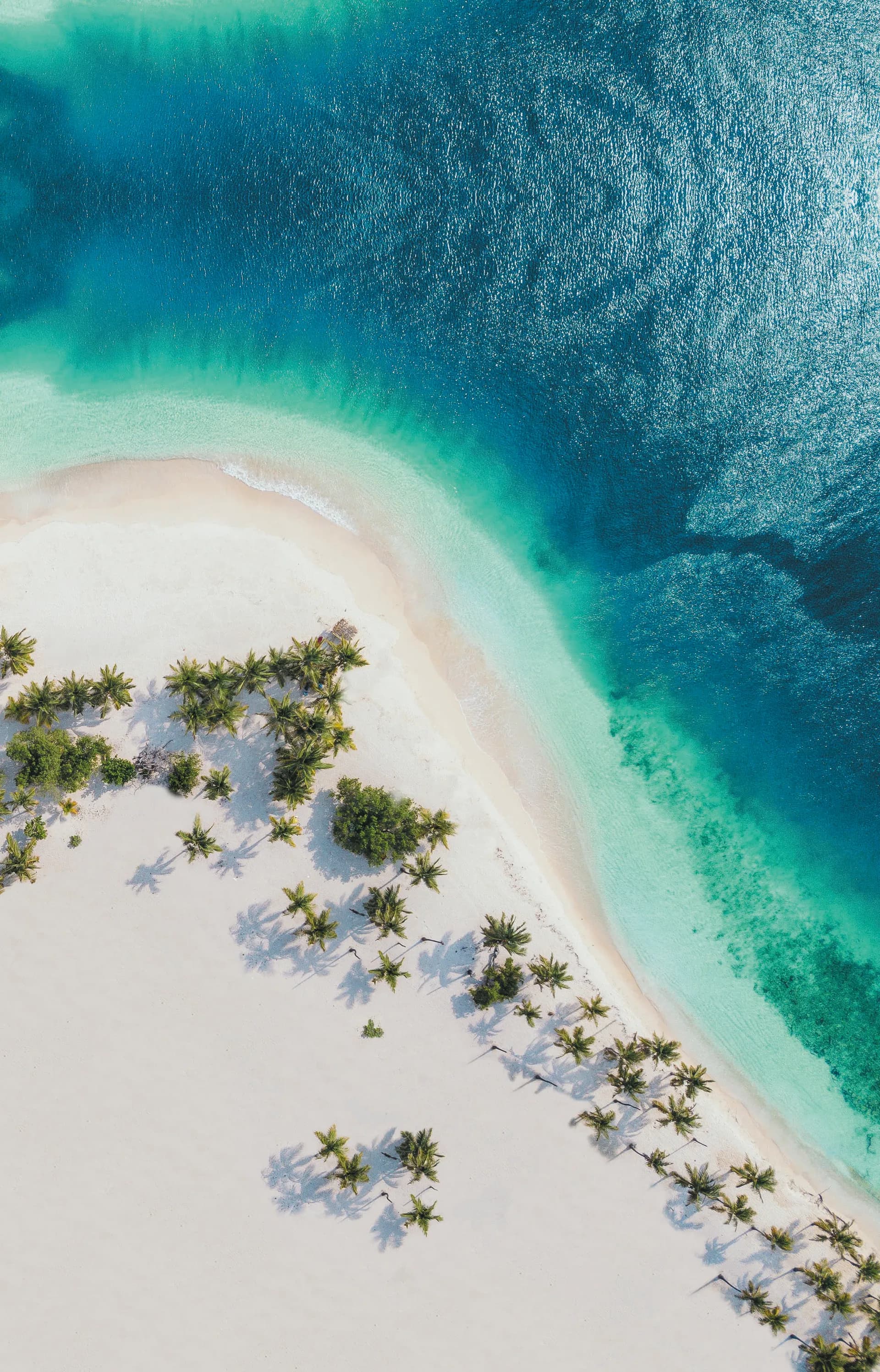 從法蘭克福出發的加勒比海 — 地中海郵輪 · 地中海華彩號