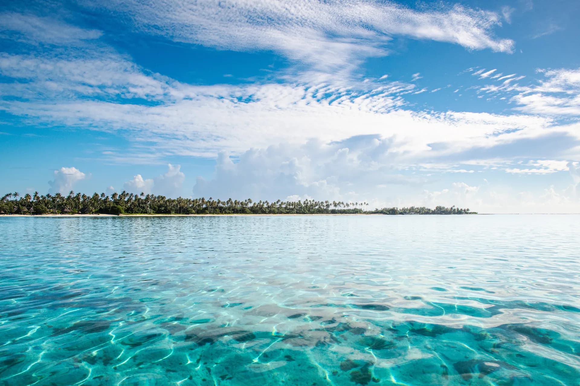 波利尼西亞的幸福：馬克薩斯與土阿莫土 — 龐洛郵輪 · 雅克卡地亞號