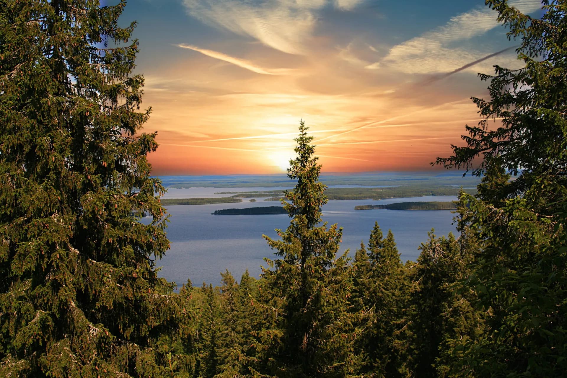 漢堡至漢堡 — 赫伯羅特郵輪 · 漢莎自然號