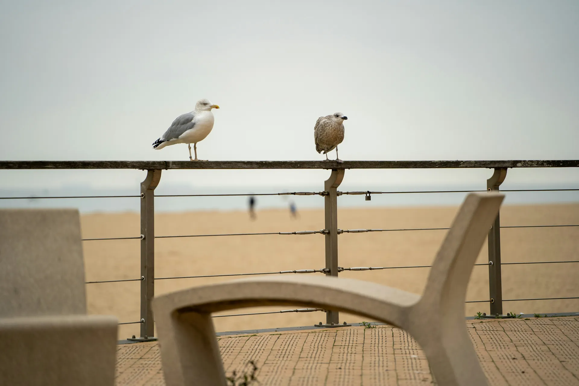 歐洲奇觀：從波爾多到倫敦 — 星凝郵輪 · 日蝕風光二號