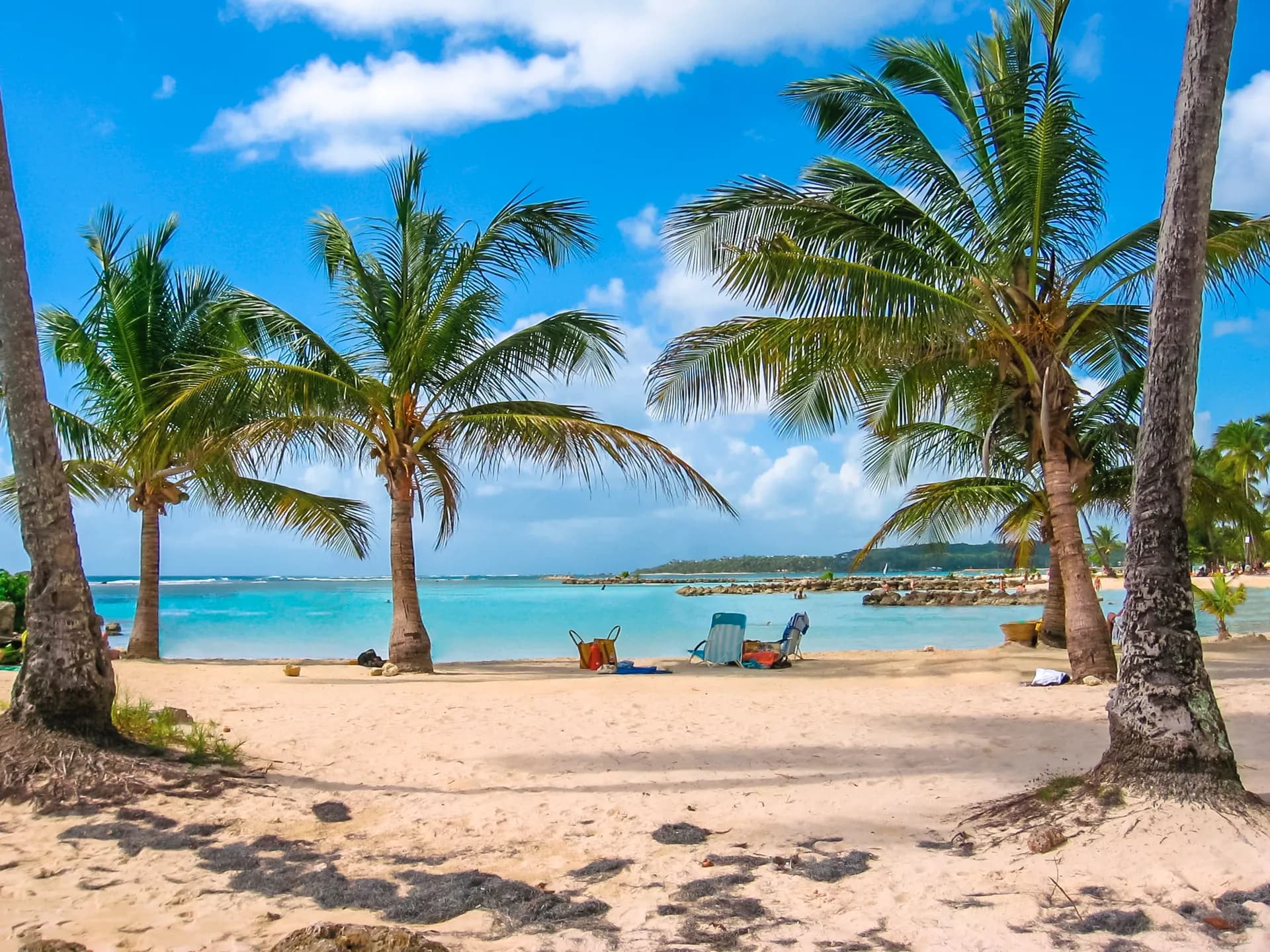 歷史與文化，探索加勒比海的瑰寶 — 龐洛郵輪 · 龐洛號