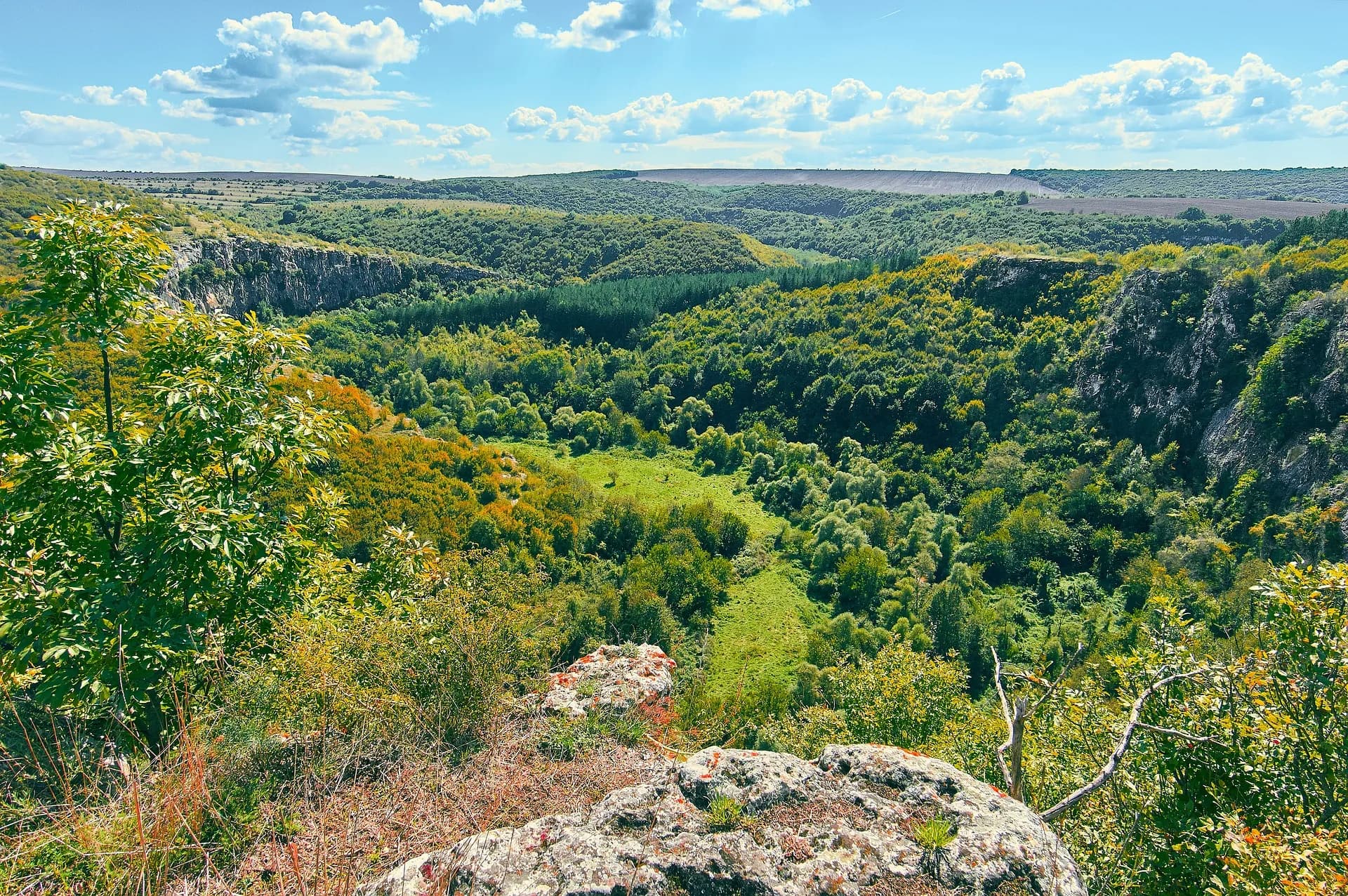 黑海至布達佩斯 - 西行 — 塔克河輪 · MS Esprit