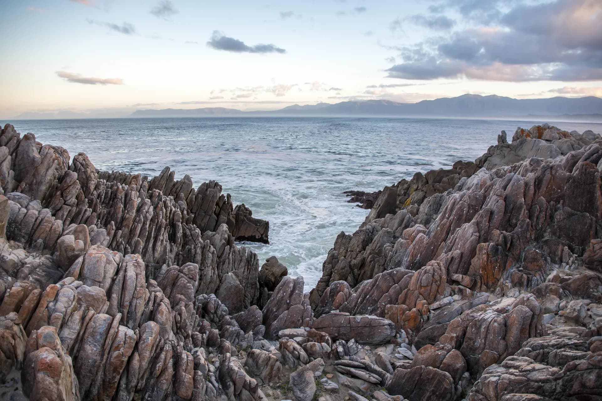 金伯利探險與太平洋島嶼 — 奇寶郵輪 · 奇寶奔速號
