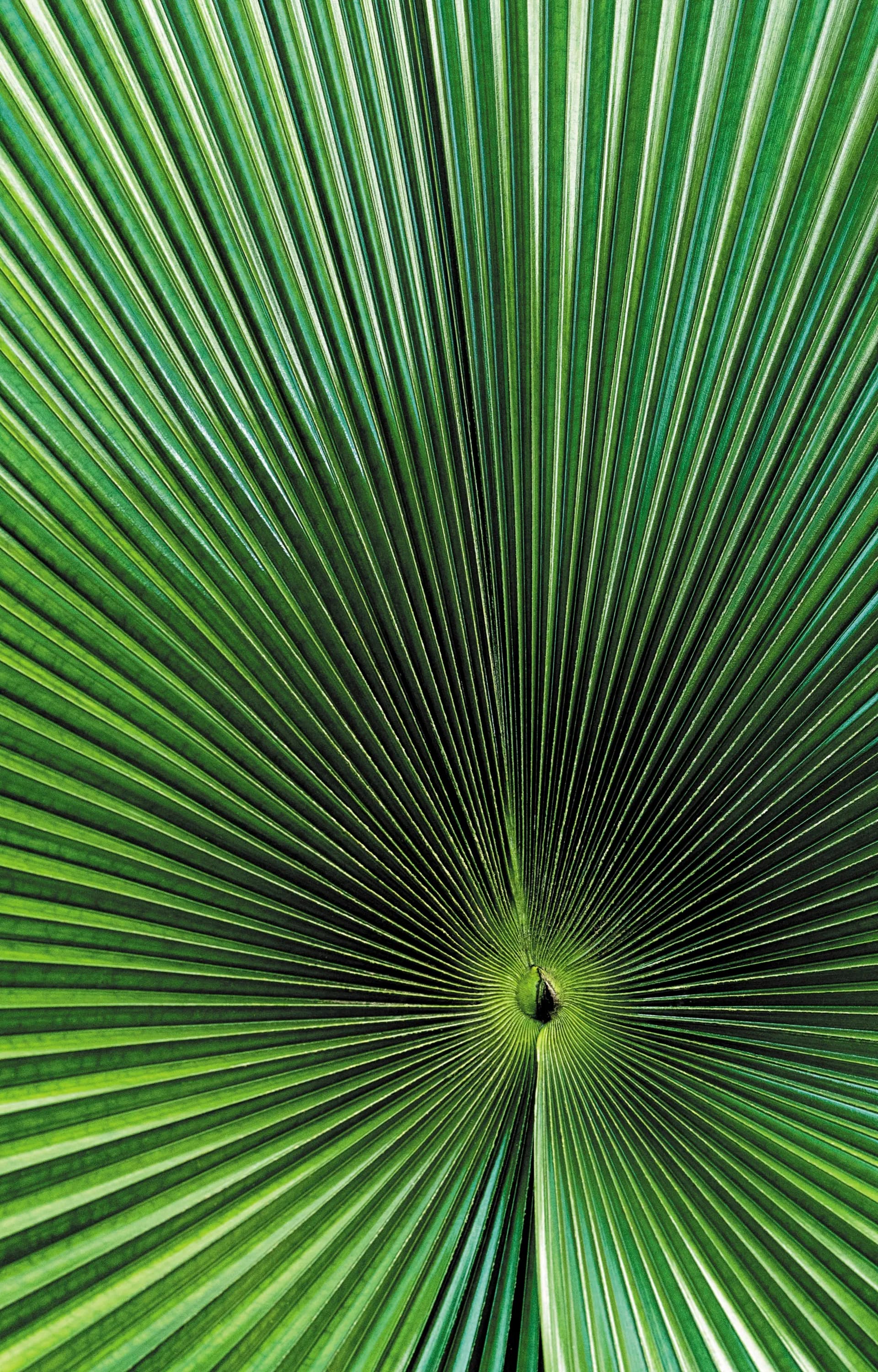 從加勒比海的美味到伊比利亞的壯觀之旅 — 意鉑奢華郵輪 · 意鉑二號