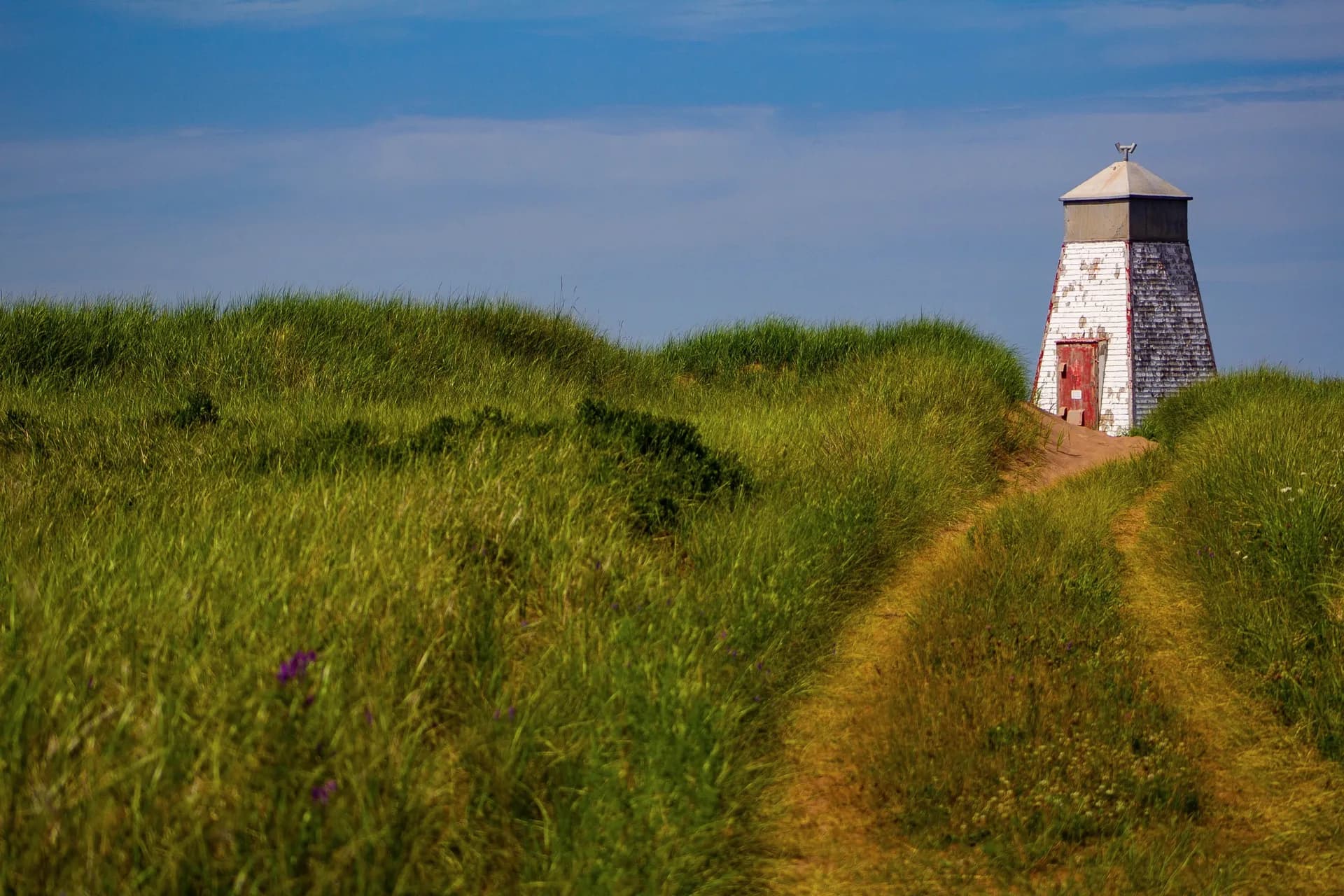 加拿大與新英格蘭：巴爾港與哈利法克斯 — 挪威郵輪 · 諾唯真天空號