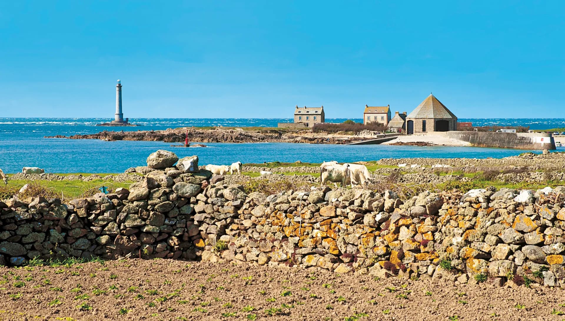 迷你郵輪 — 地中海郵輪 · 地中海華彩號