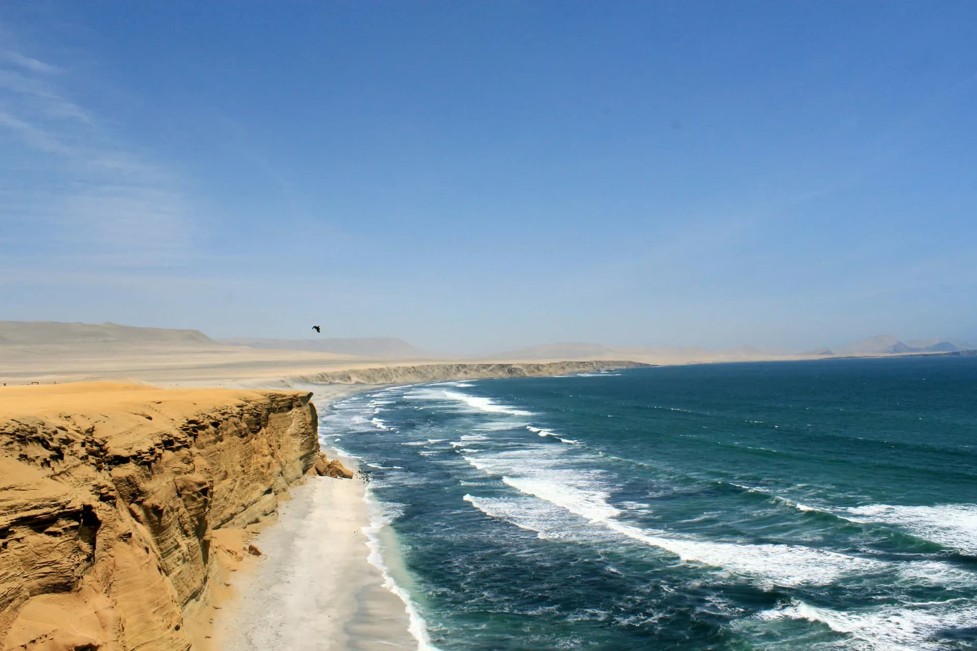 Paracas 3