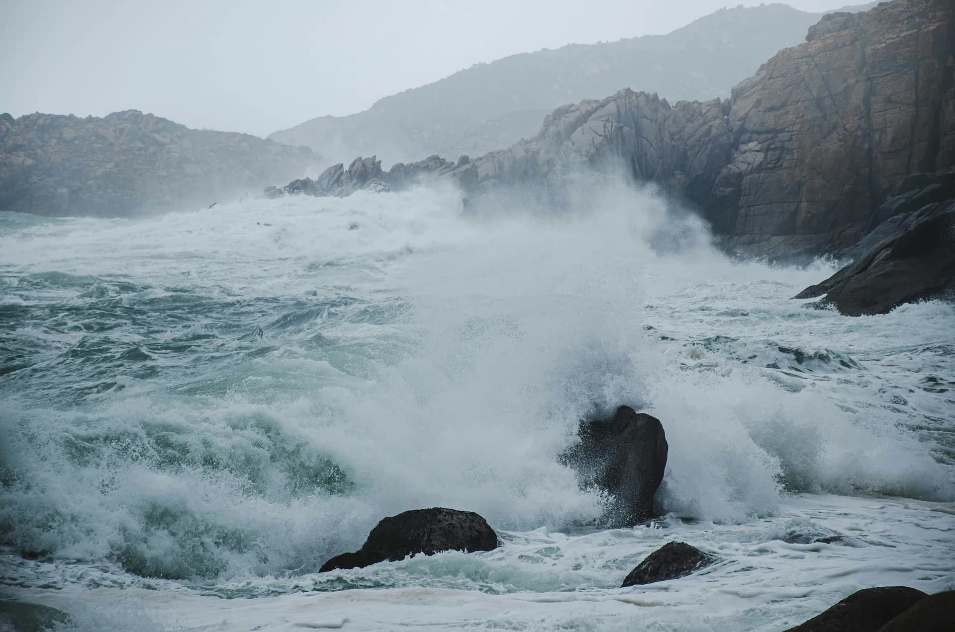 新加坡到東京 — 大洋郵輪 · 里維埃拉號
