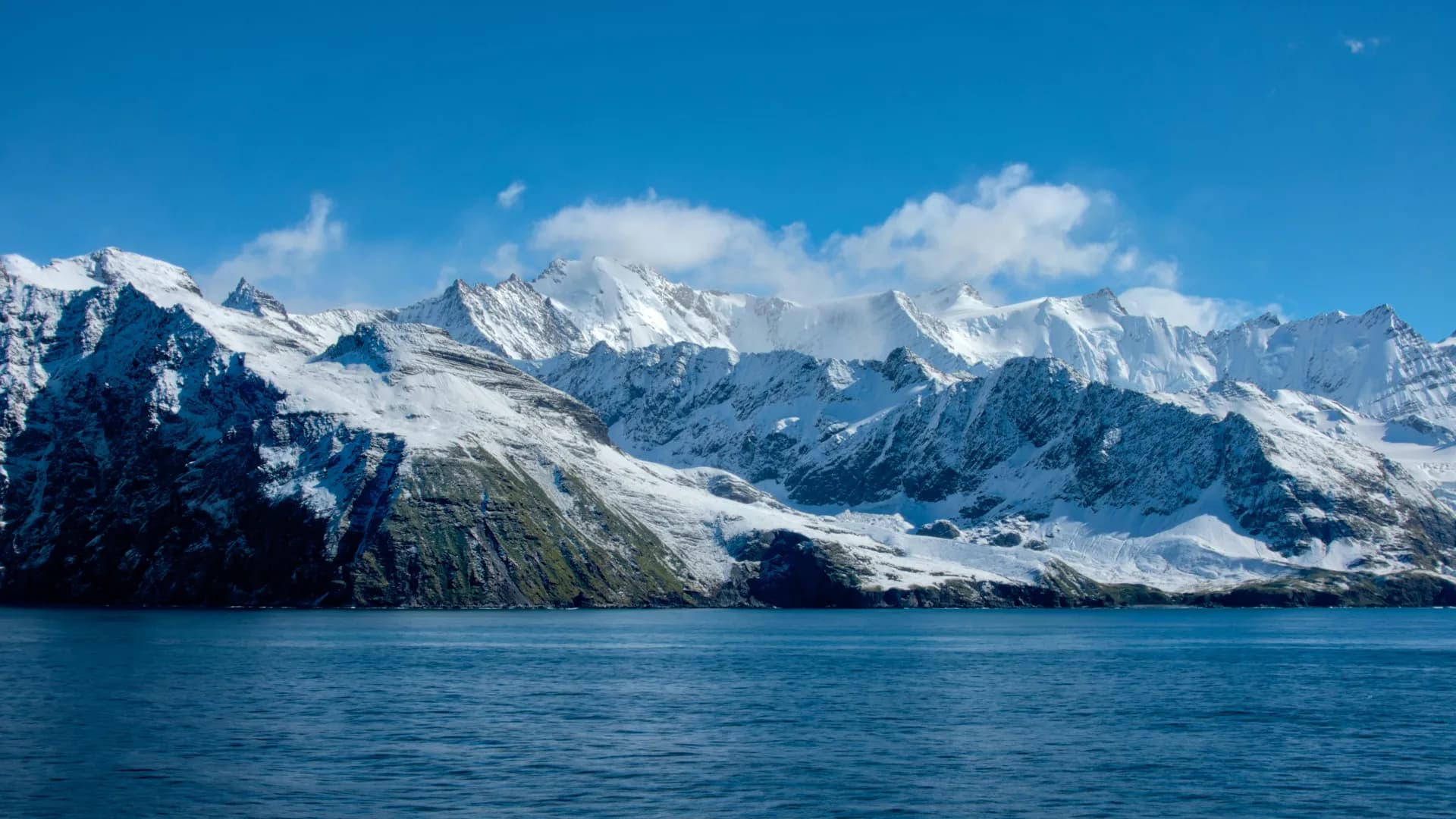 南極探險：南極圈 — 赫伯羅特郵輪 · 漢莎精神號