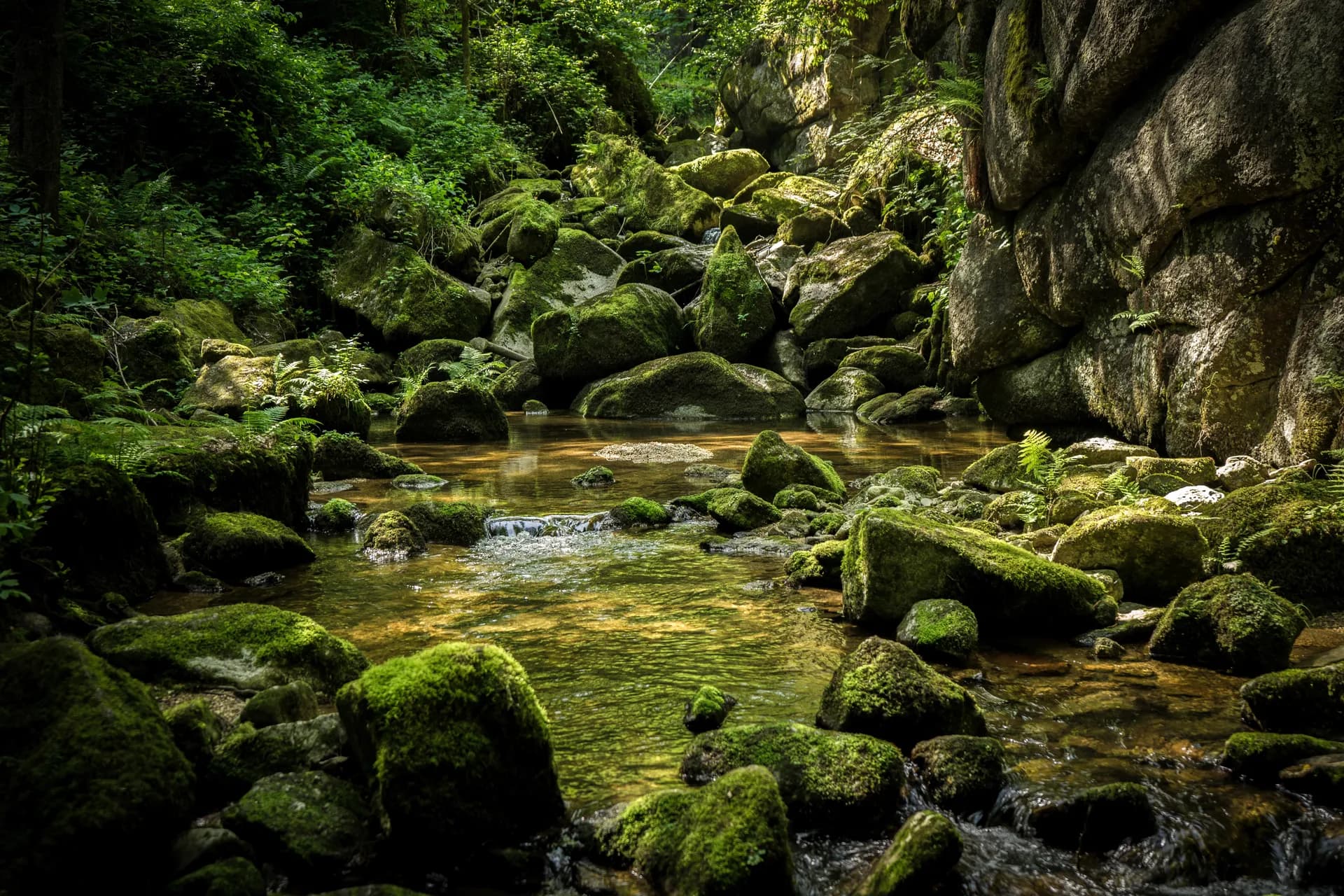 多瑙河心臟：巴伐利亞至布達佩斯 - 東行 — 塔克河輪 · MS Savor