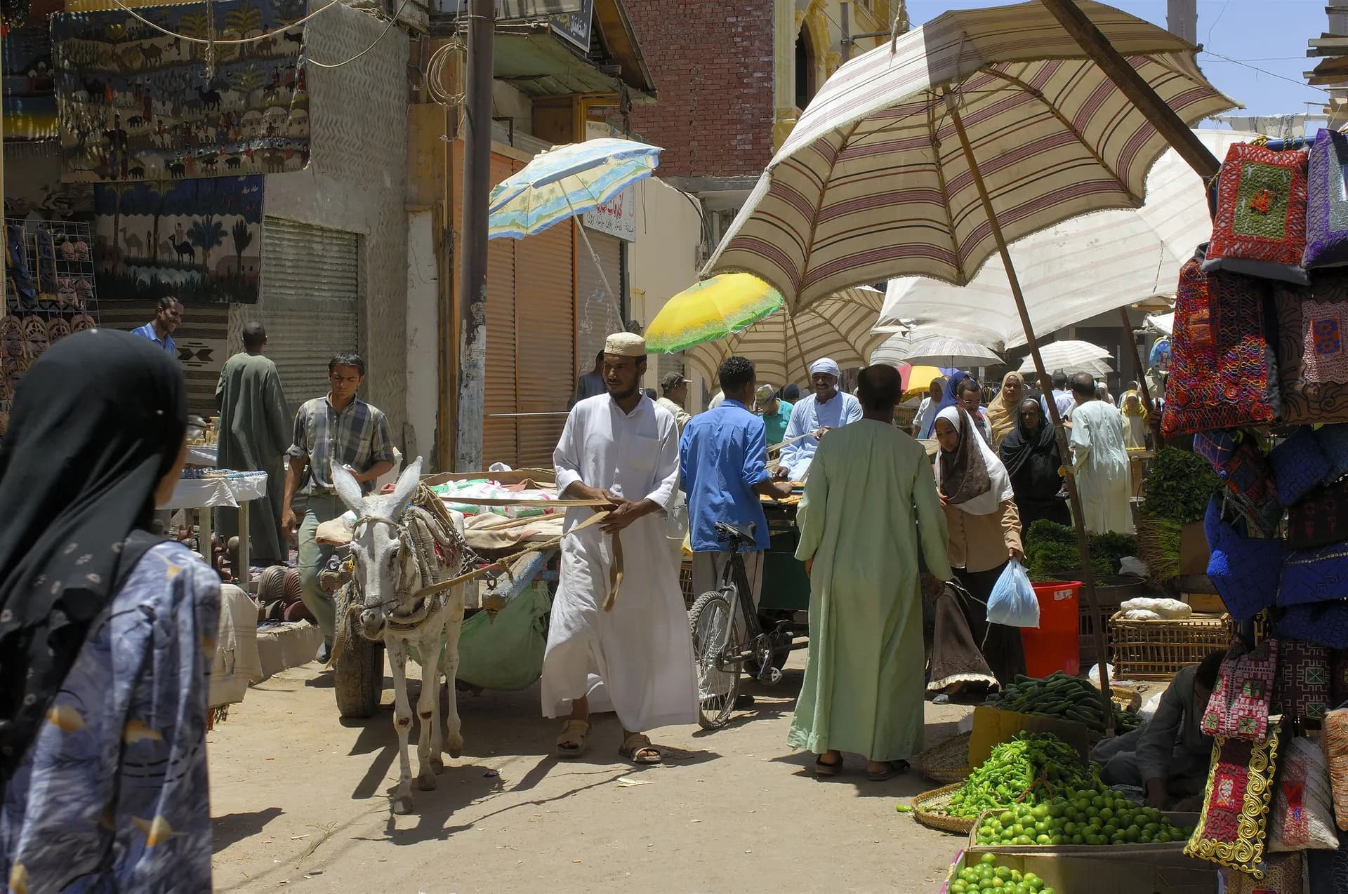 穿越中東魅力與考古奇觀之旅 — 意鉑奢華郵輪 · 意鉑五號