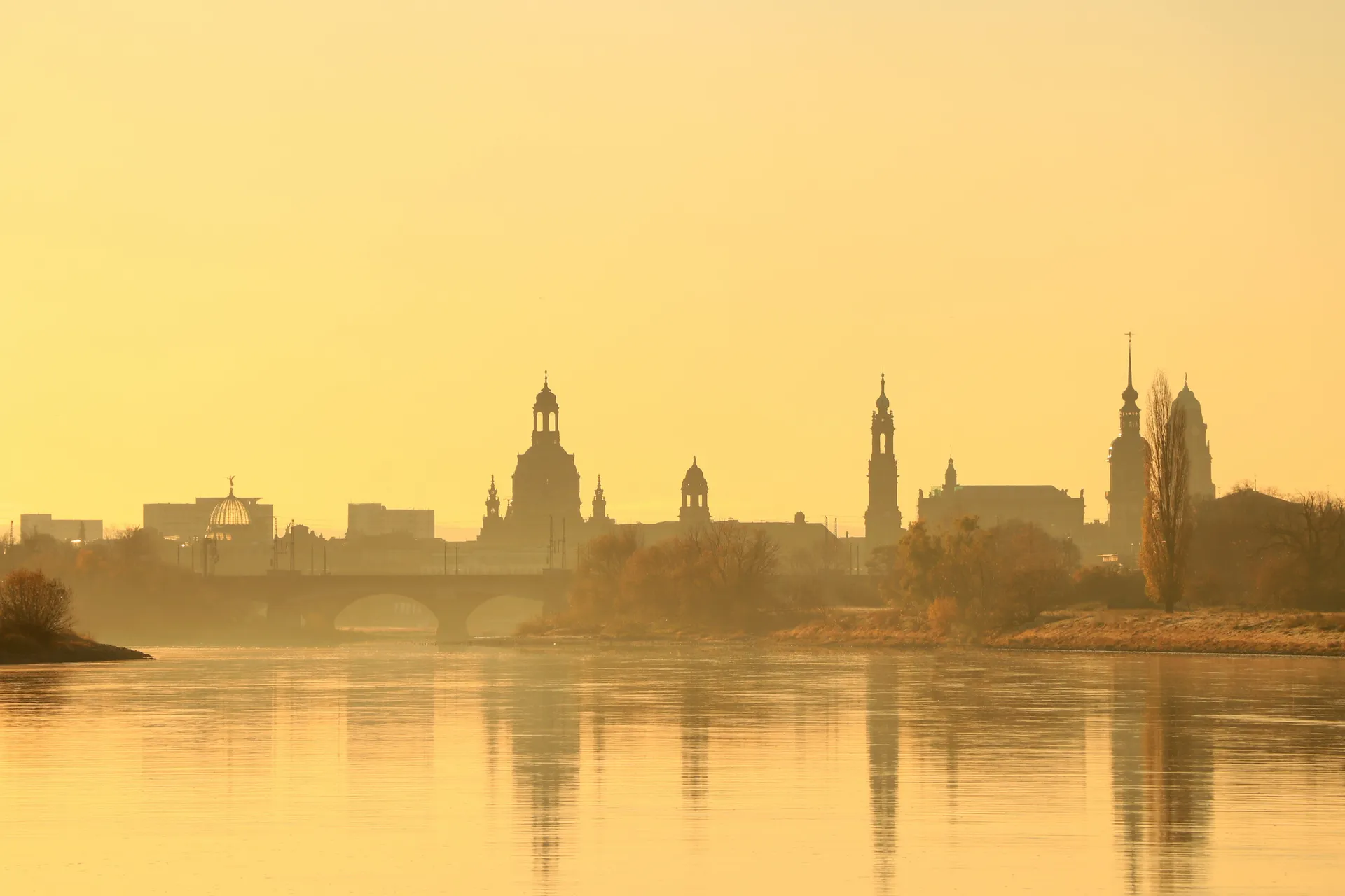 Dresden 4