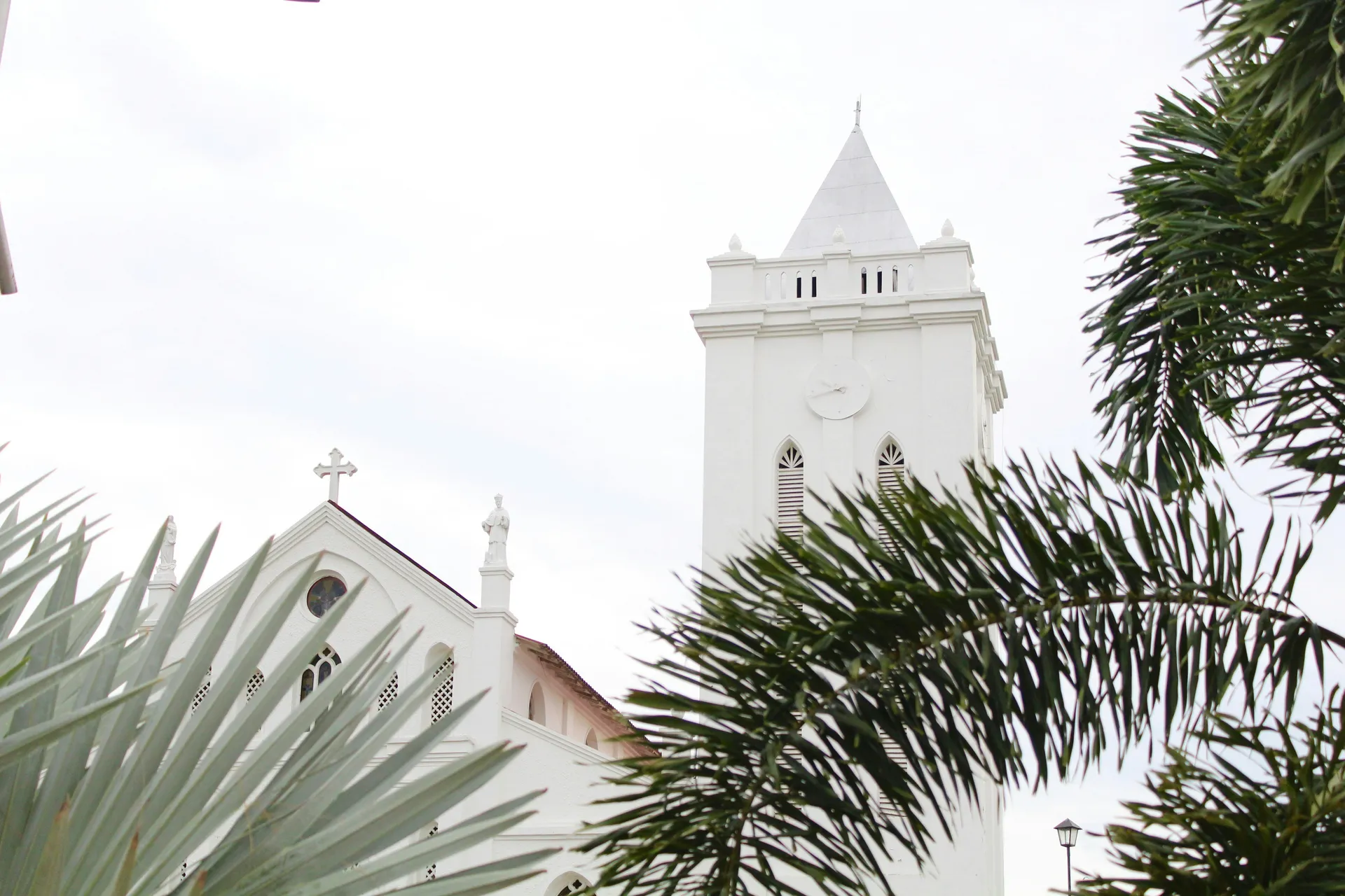 哥倫比亞的奇觀 — 阿瑪河輪 · 阿瑪瑪格達萊娜號