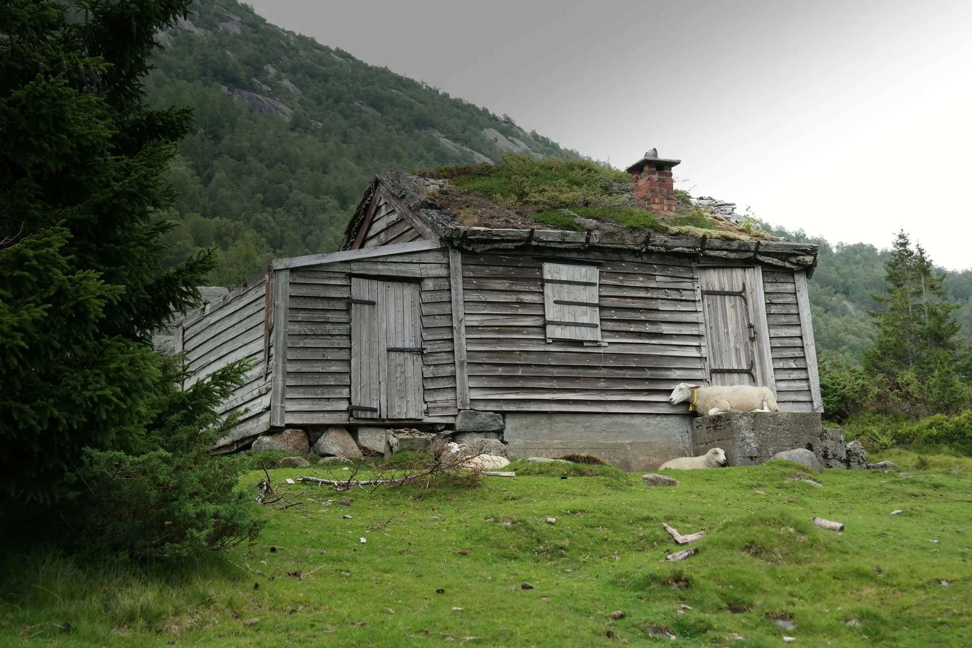 挪威峽灣與諾德峽灣 — 荷美郵輪 · 鹿特丹號