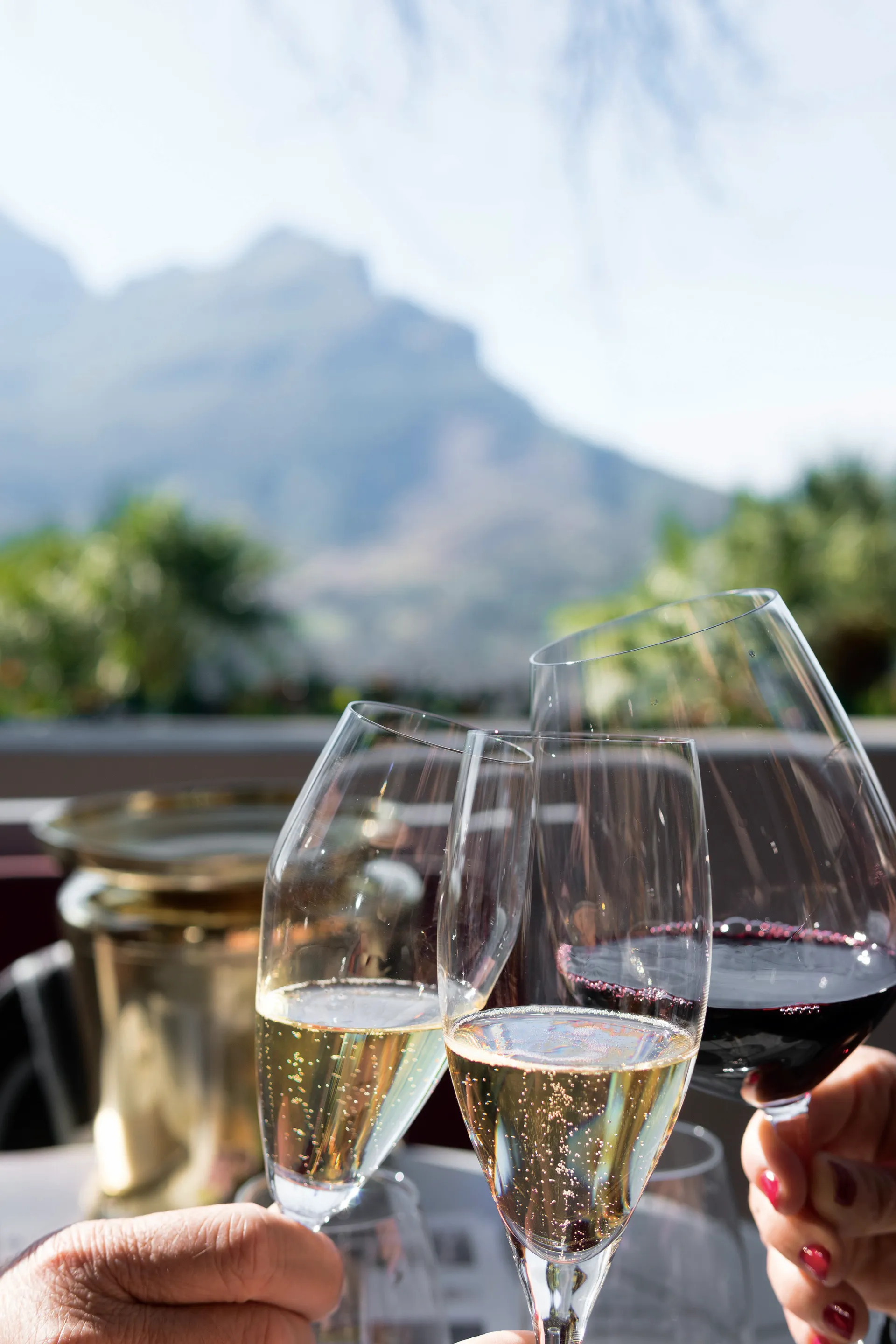 Відкрийте для себе Африку — AmaWaterways · Zambezi Queen