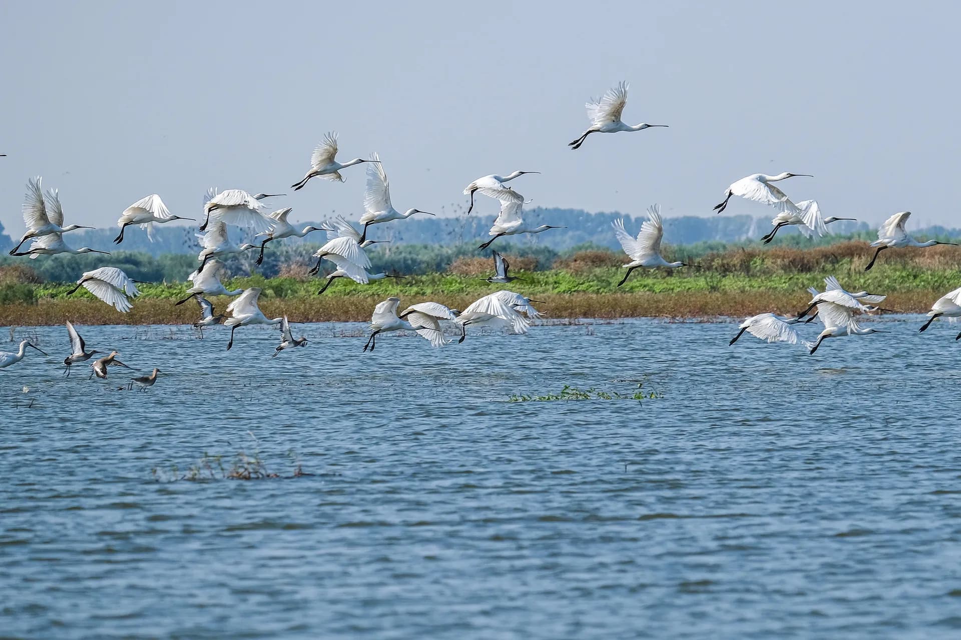 巴爾幹探索，附在布達佩斯1晚、布加勒斯特1晚與特蘭西瓦尼亞2晚住宿 — 艾凡隆河輪 · 亞法隆熱忱號