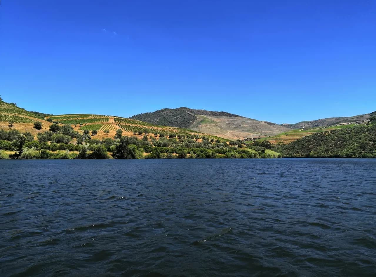 探索杜羅河，還有里斯本與馬德里 - 西行 — 塔克河輪 · ms Andorinha