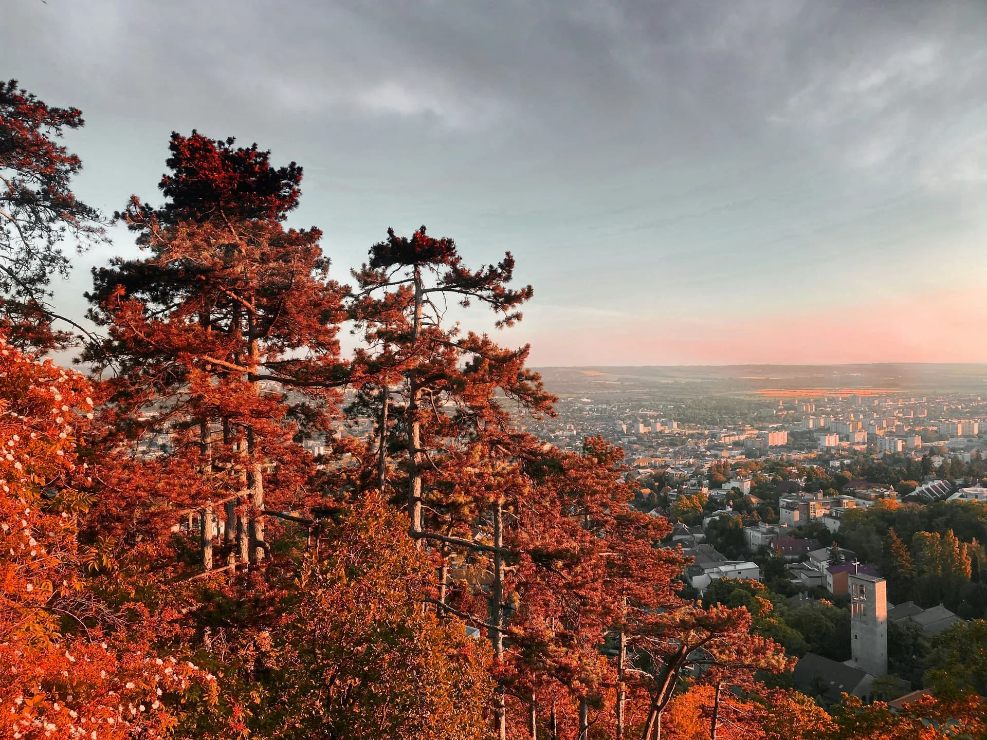 Juwelen Südosteuropas - Giurgiu nach Budapest — AmaWaterways · AmaBella