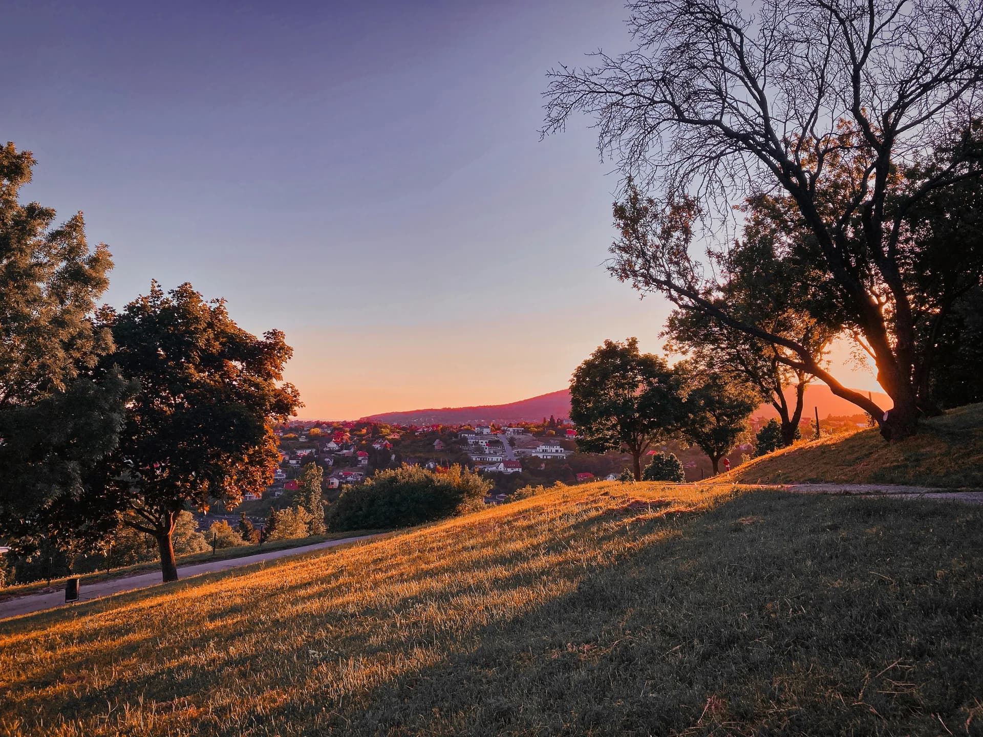 東南歐的瑰寶 - 從布達佩斯到吉爾久 — 阿瑪河輪 · 阿瑪翠綠號