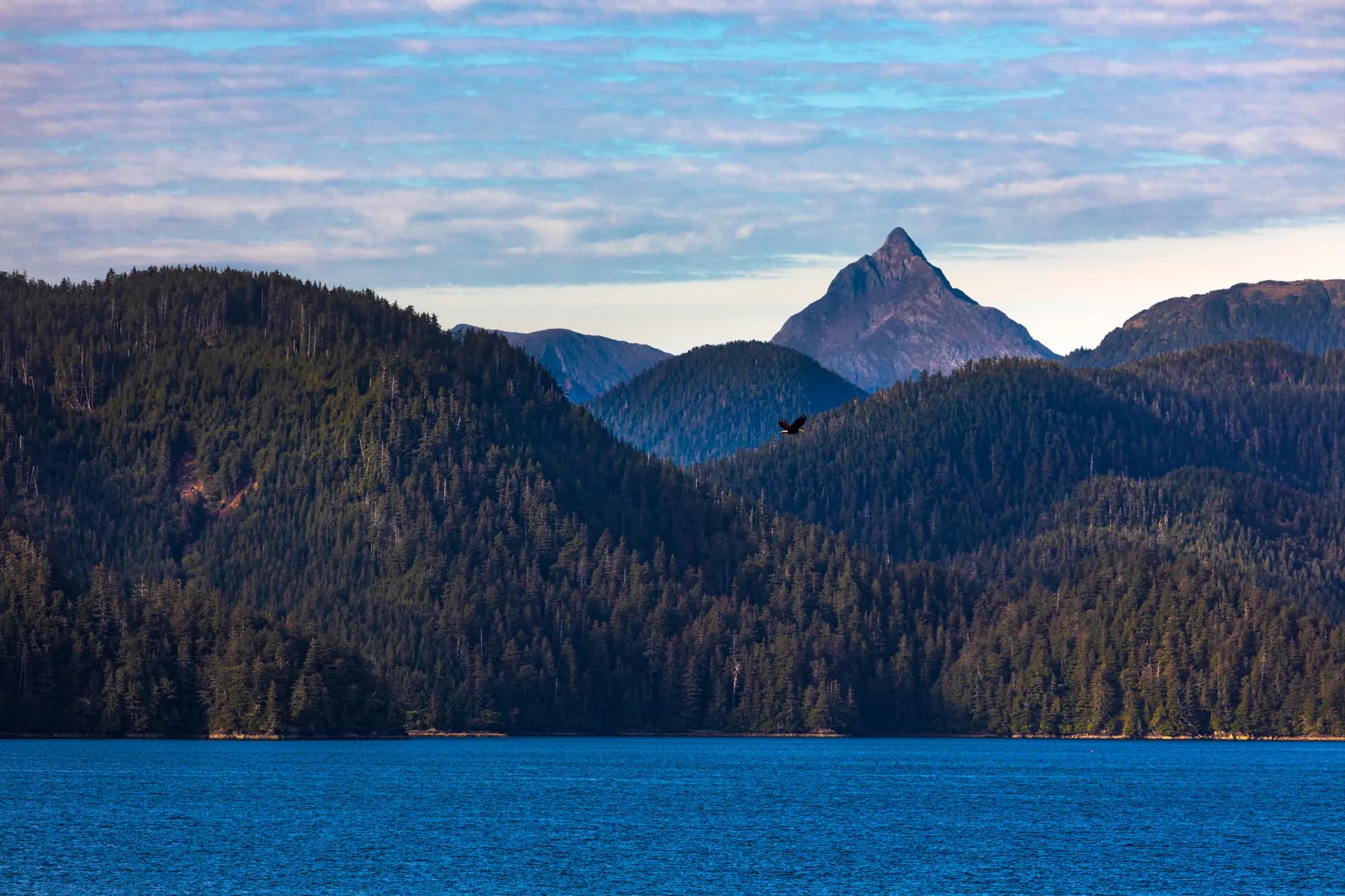 哈伯冰川與斯卡圭從威提爾，阿拉斯加 — 挪威郵輪 · 諾唯真翡翠號