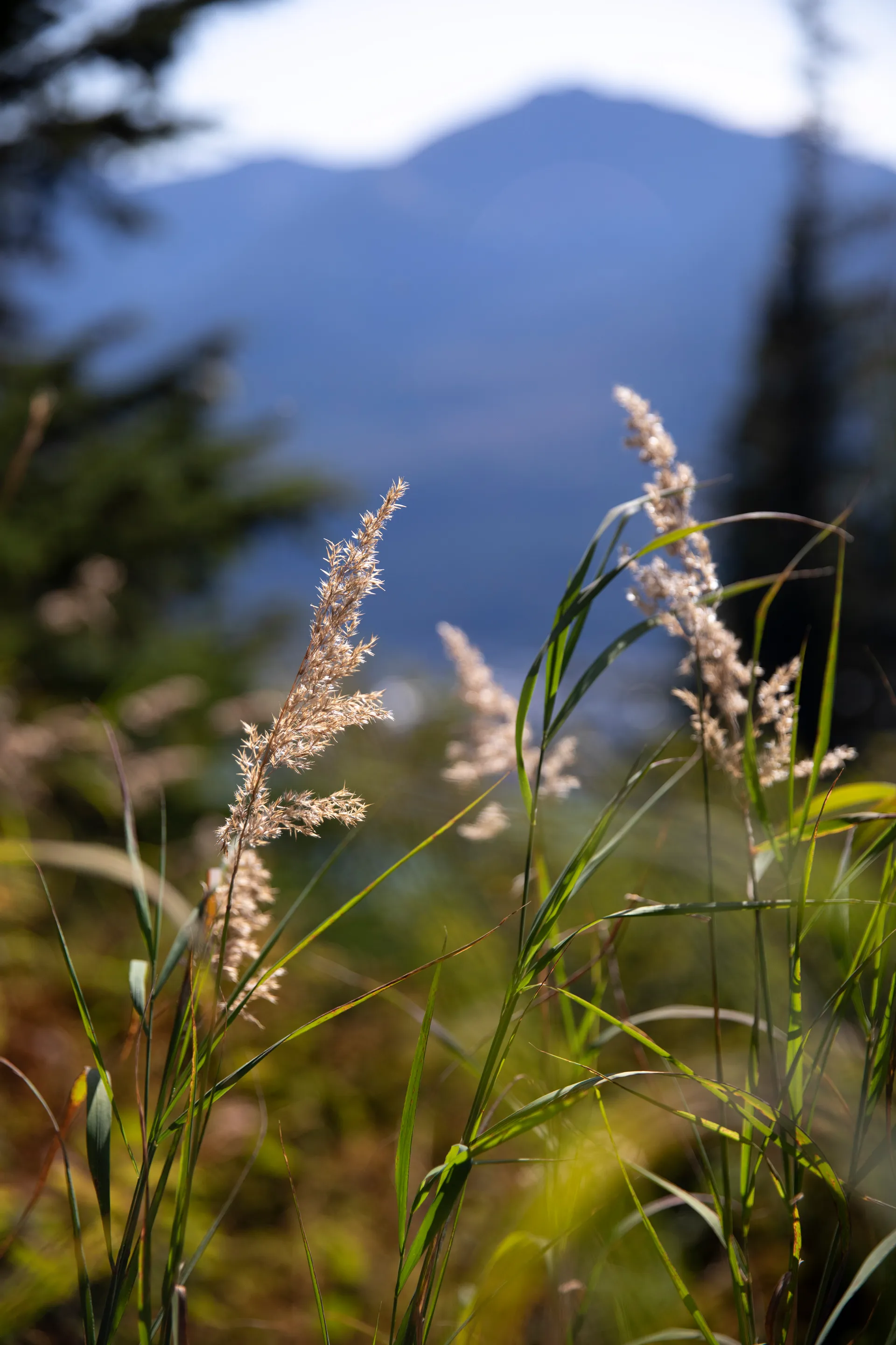 聚焦肯·布朗葡萄酒 - 從惠提爾到溫哥華 — 麗晶七海郵輪 · 七海探索者號