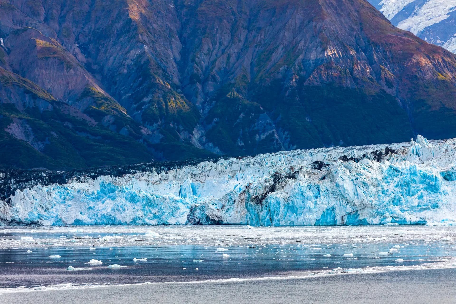 10天經典德納利 D7L — 荷美郵輪 · 威士特丹號