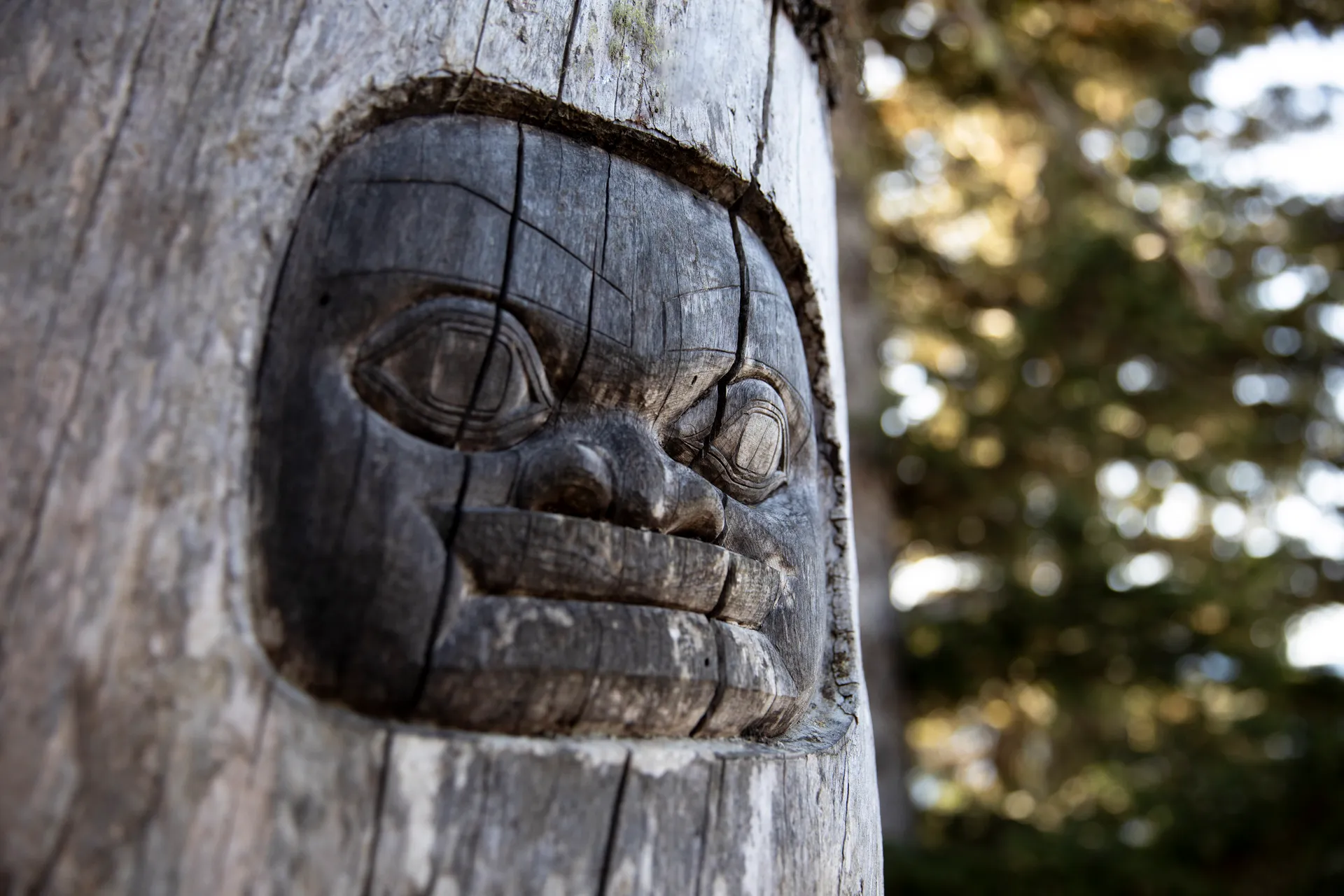 從西雅圖出發的阿拉斯加之旅 — 地中海郵輪 · 地中海詩歌號
