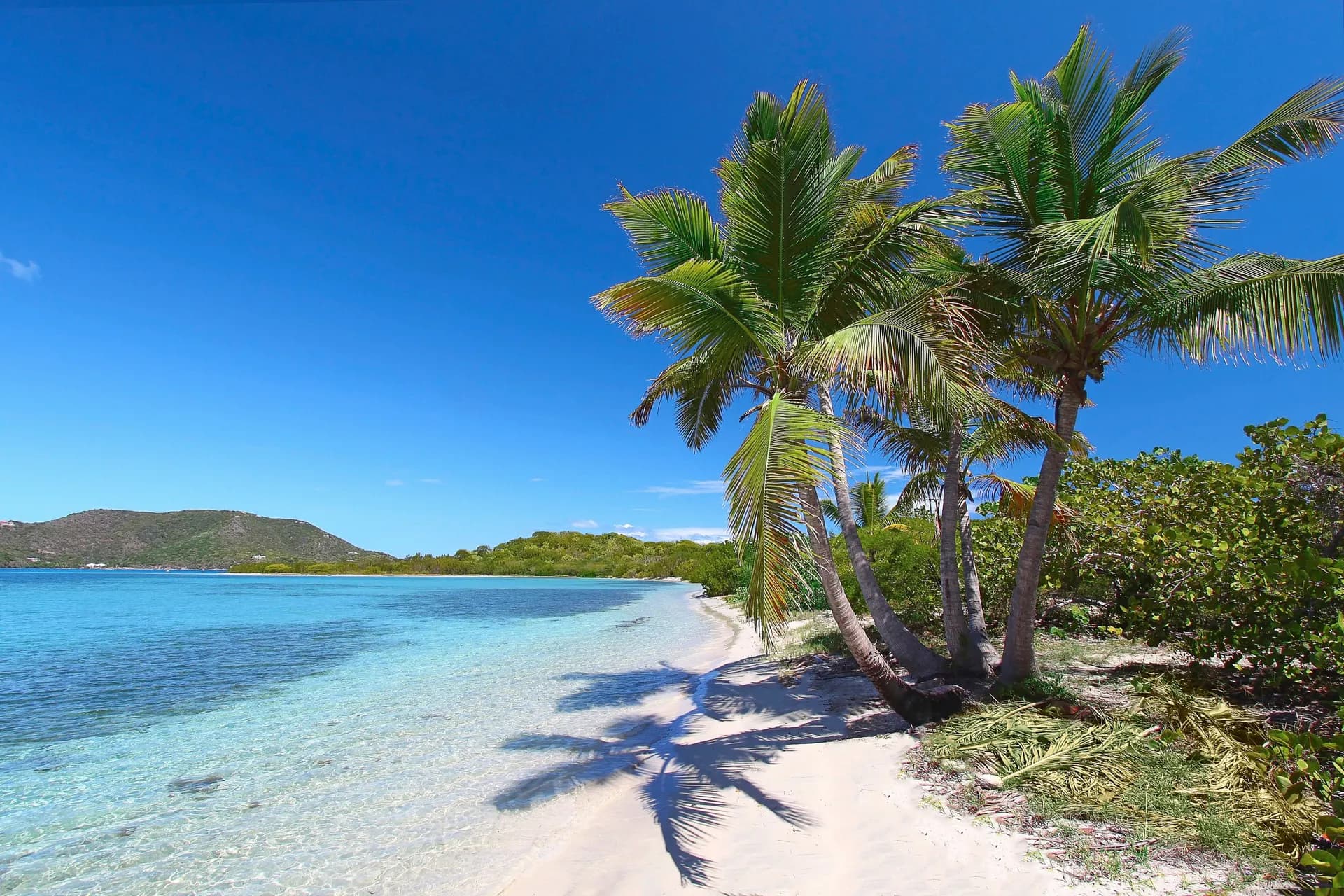 加勒比海：大斯特魯普凱與多明尼加共和國 — 挪威郵輪 · 諾唯真喜悅號