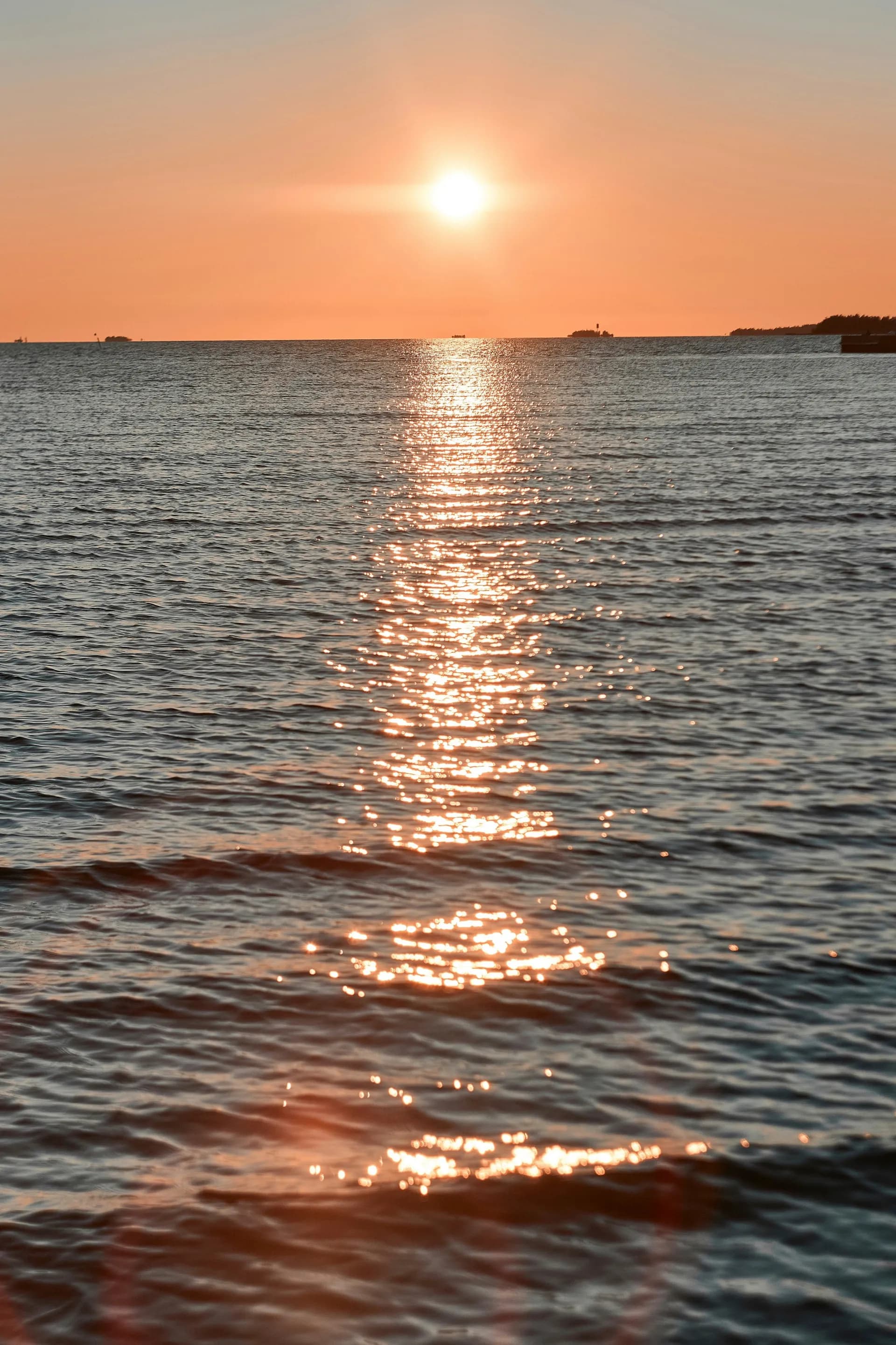博斯尼亞灣，通往北極的門戶 — 龐洛郵輪 · 指揮官夏古號