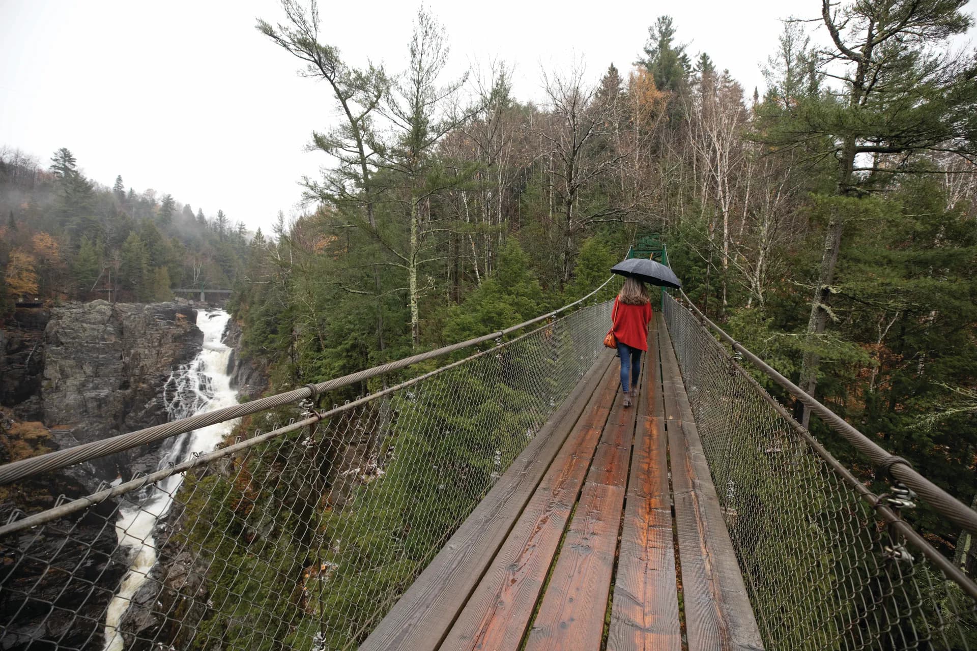 加拿大與新英格蘭：海洋省與蒙特婁收藏 — 荷美郵輪 · 沃倫丹號