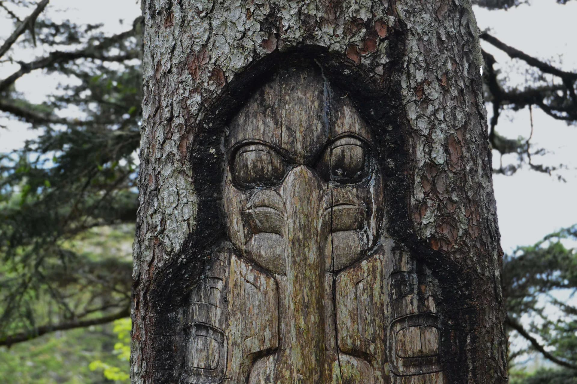 阿拉斯加內海通道 — 荷美郵輪 · 讚丹號