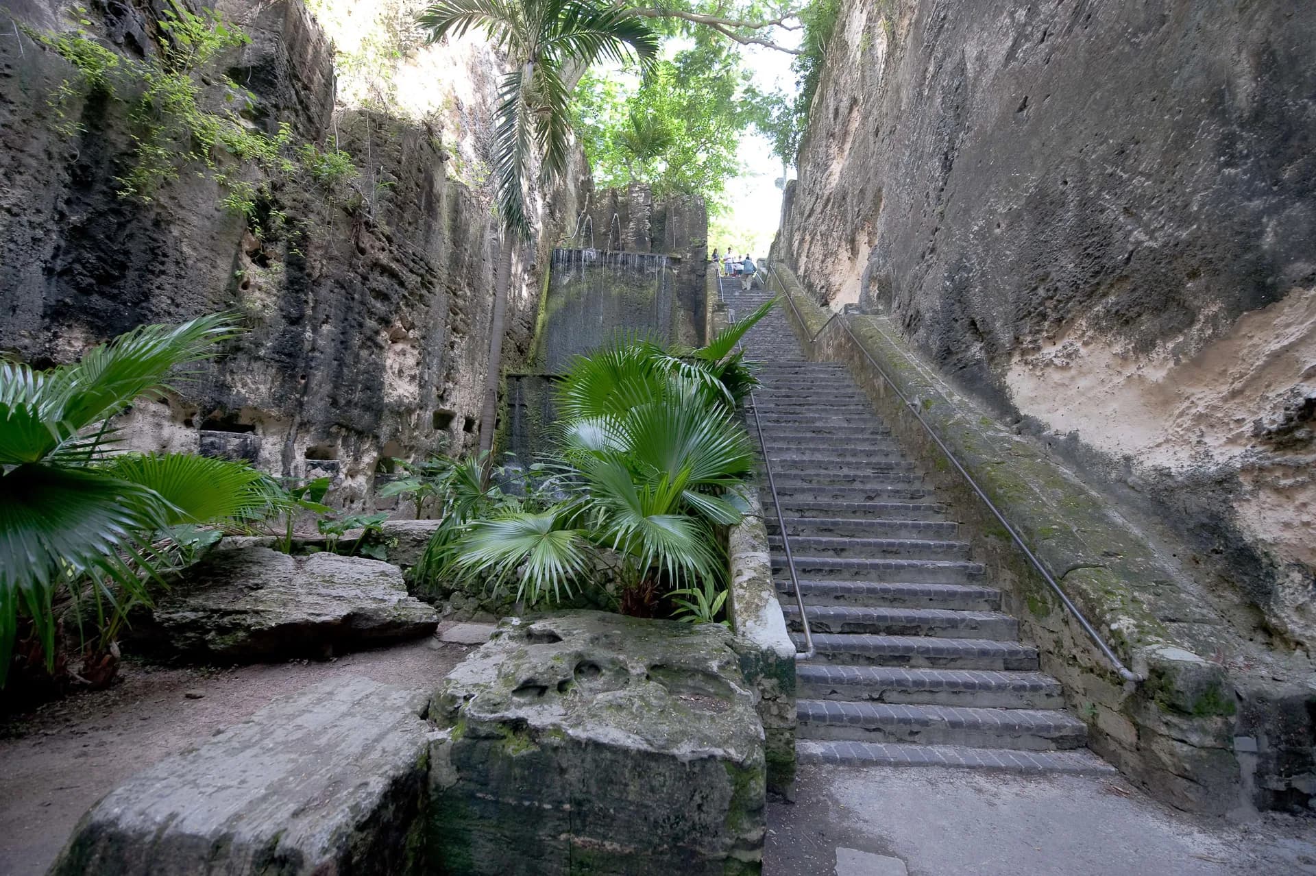從邁阿密到邁阿密 — 大洋郵輪 · 瑰麗號