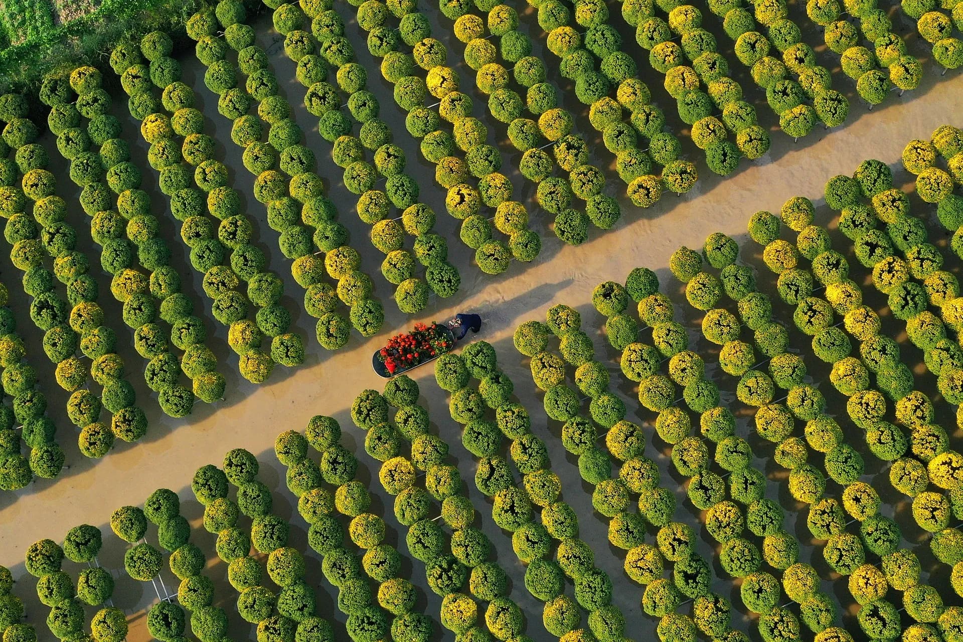 湄公河的魅力 — 阿瑪河輪 · 阿瑪瑪雅號