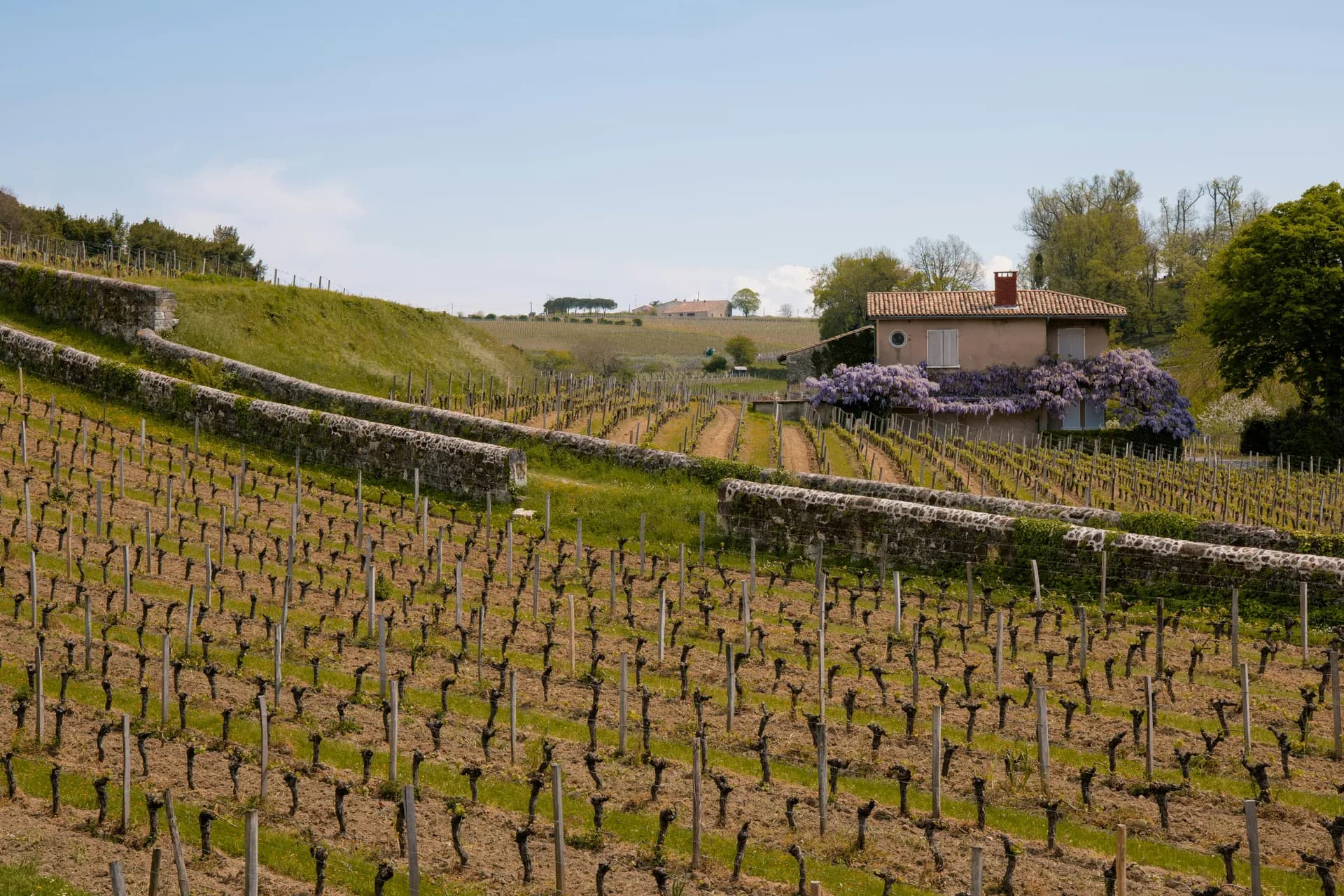 波爾多、巴黎與塞納河 — 塔克河輪 · ms Reverie