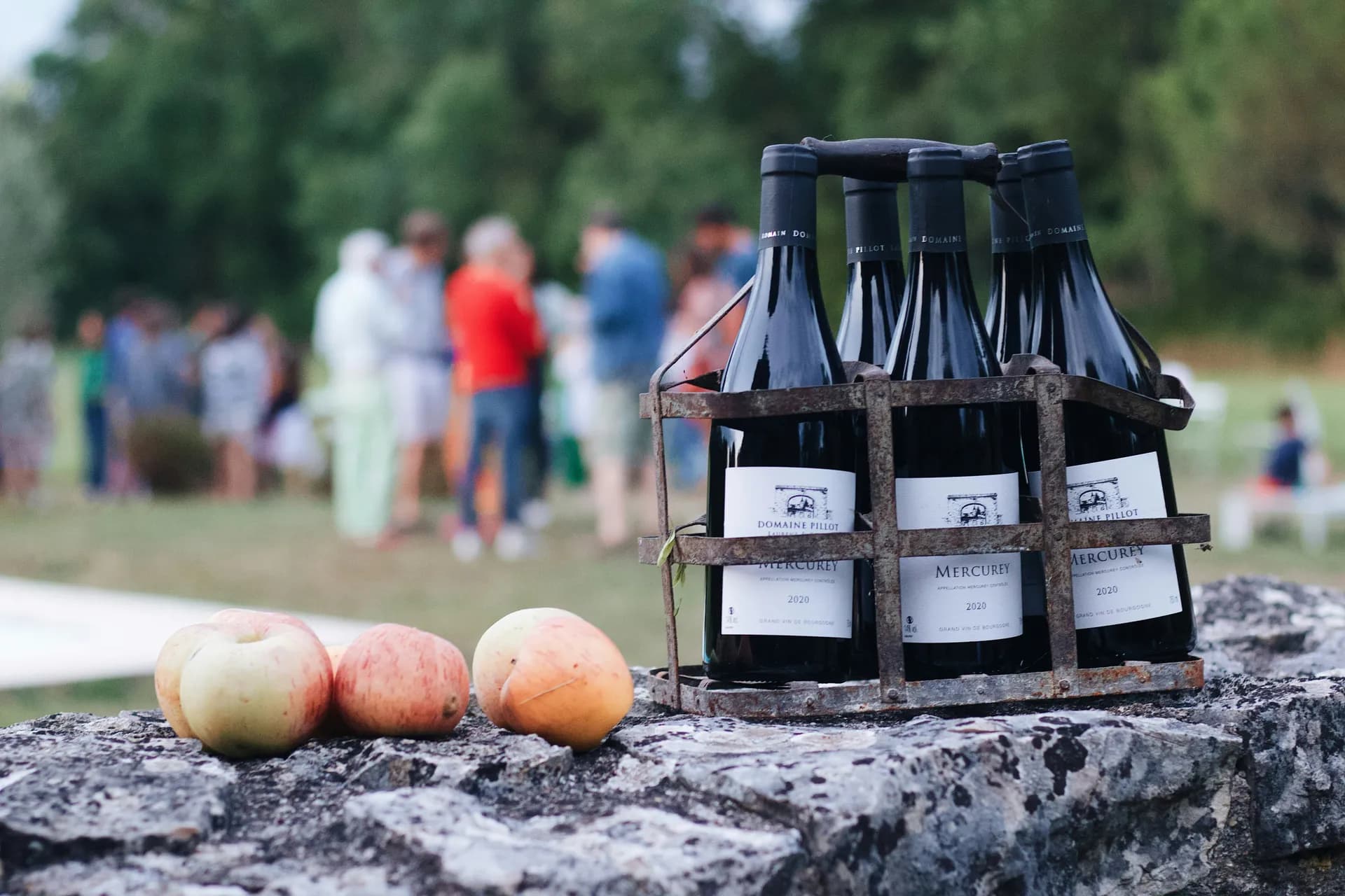 勃艮第與普羅旺斯，巴黎2晚（南行） — 艾凡隆河輪 · 亞法隆詩韻二號