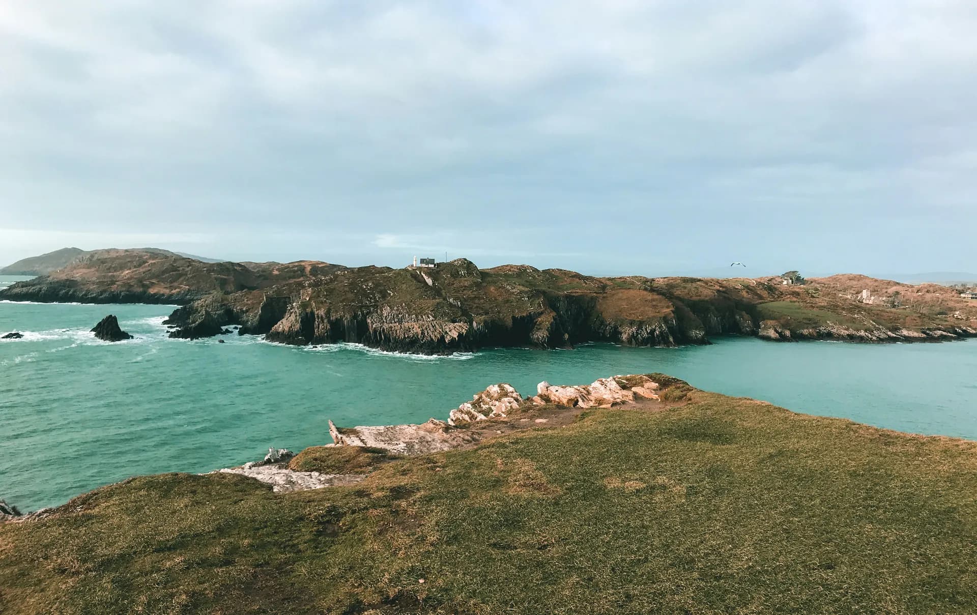 科克（林加斯基迪） 3