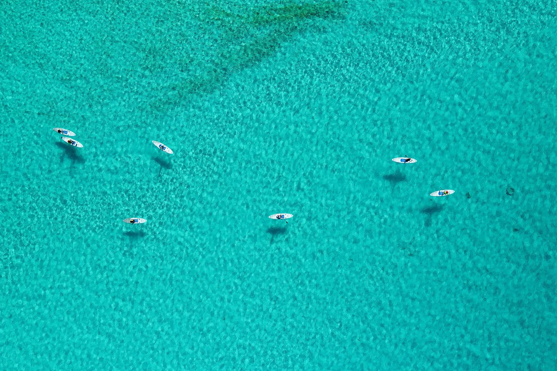 Ocean Cay 海洋保護區 3