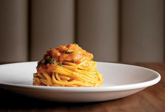 諾唯真永恆號 12