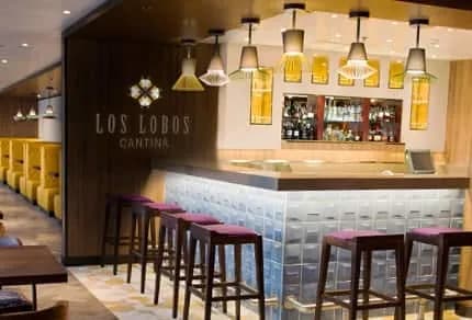 諾唯真之晨號 11