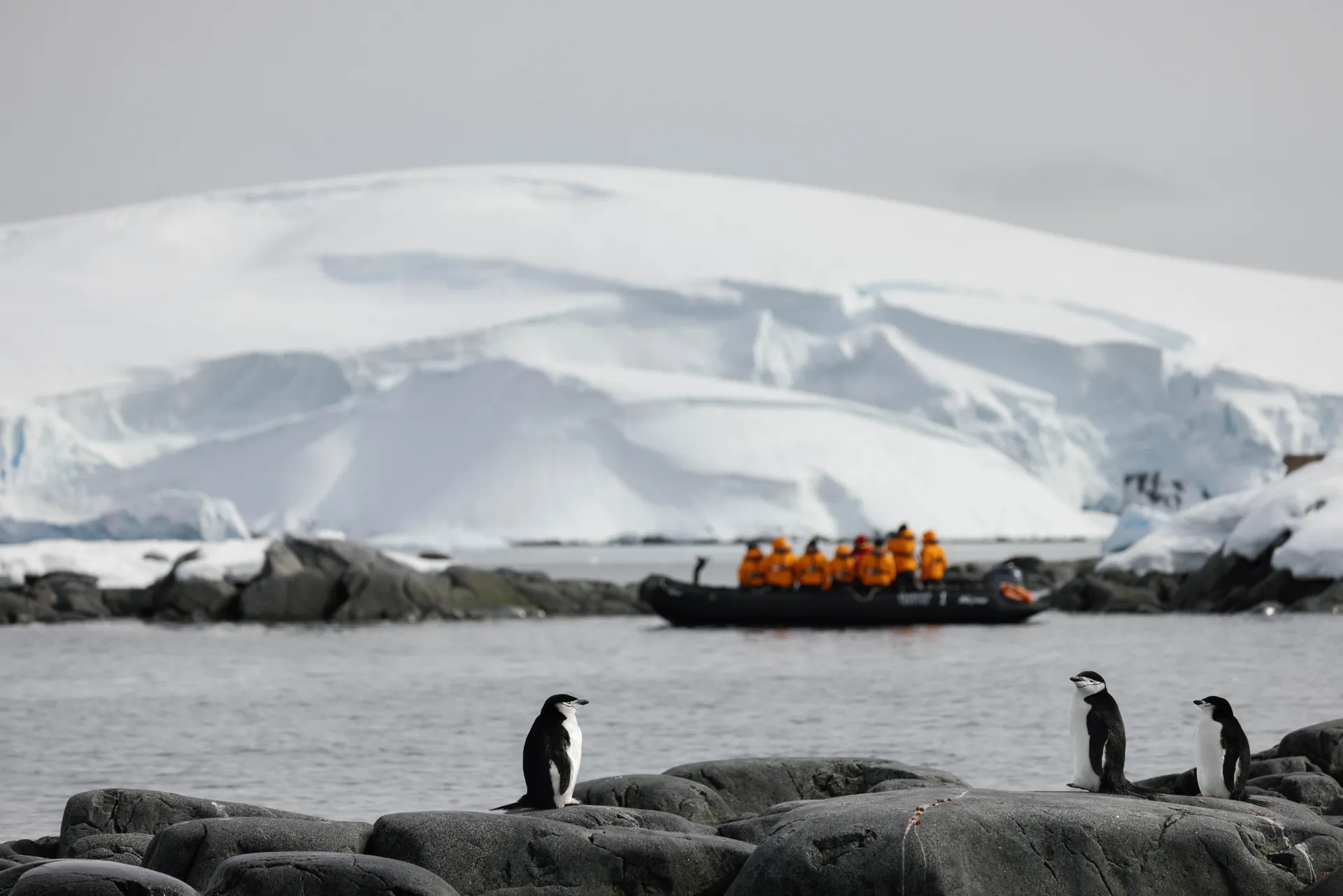 Ventures By Seabourn® 海上探險 8