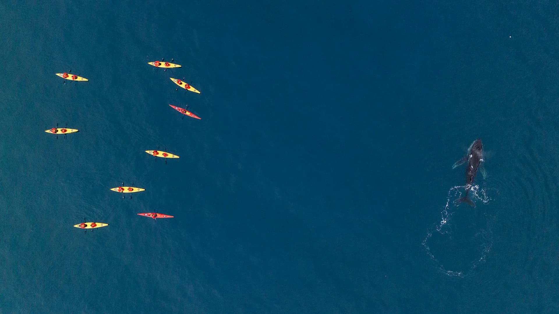 Ventures By Seabourn® 海上探險 1