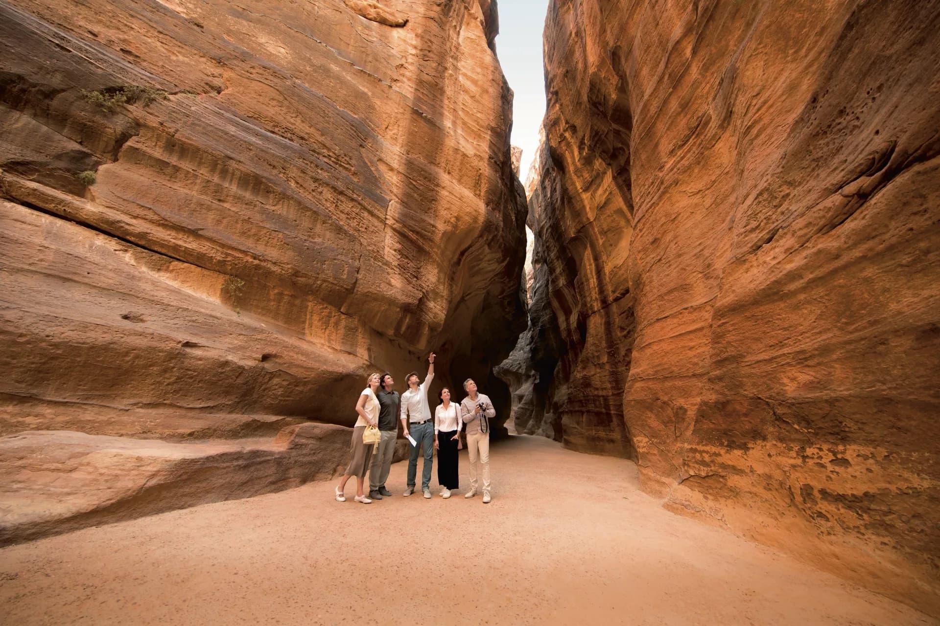 導覽岸上觀光 5