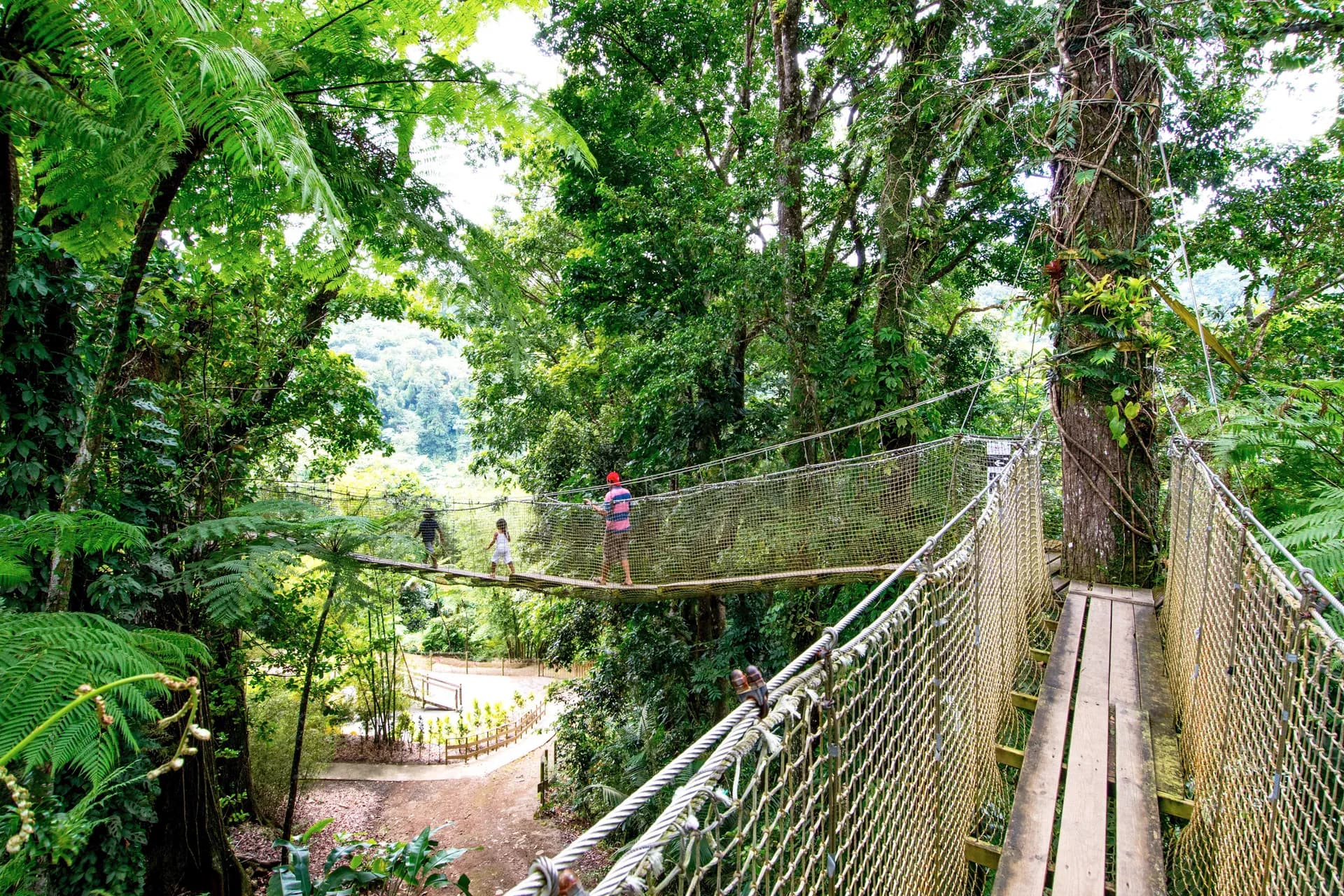 MSC Yacht Club 岸上觀光 3