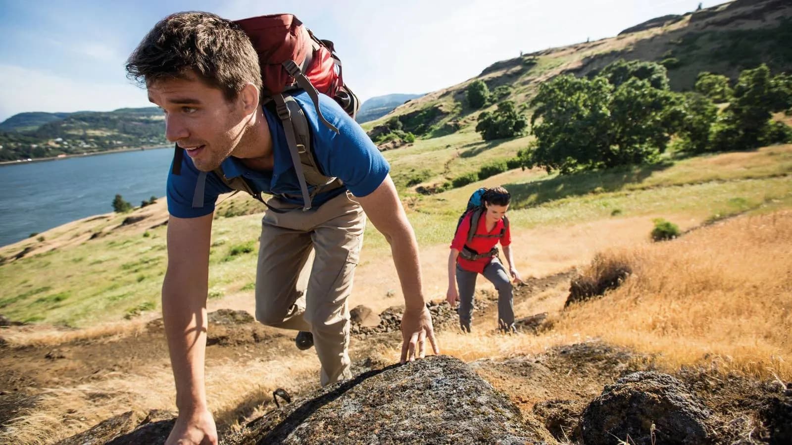 Guided Shore Excursions 