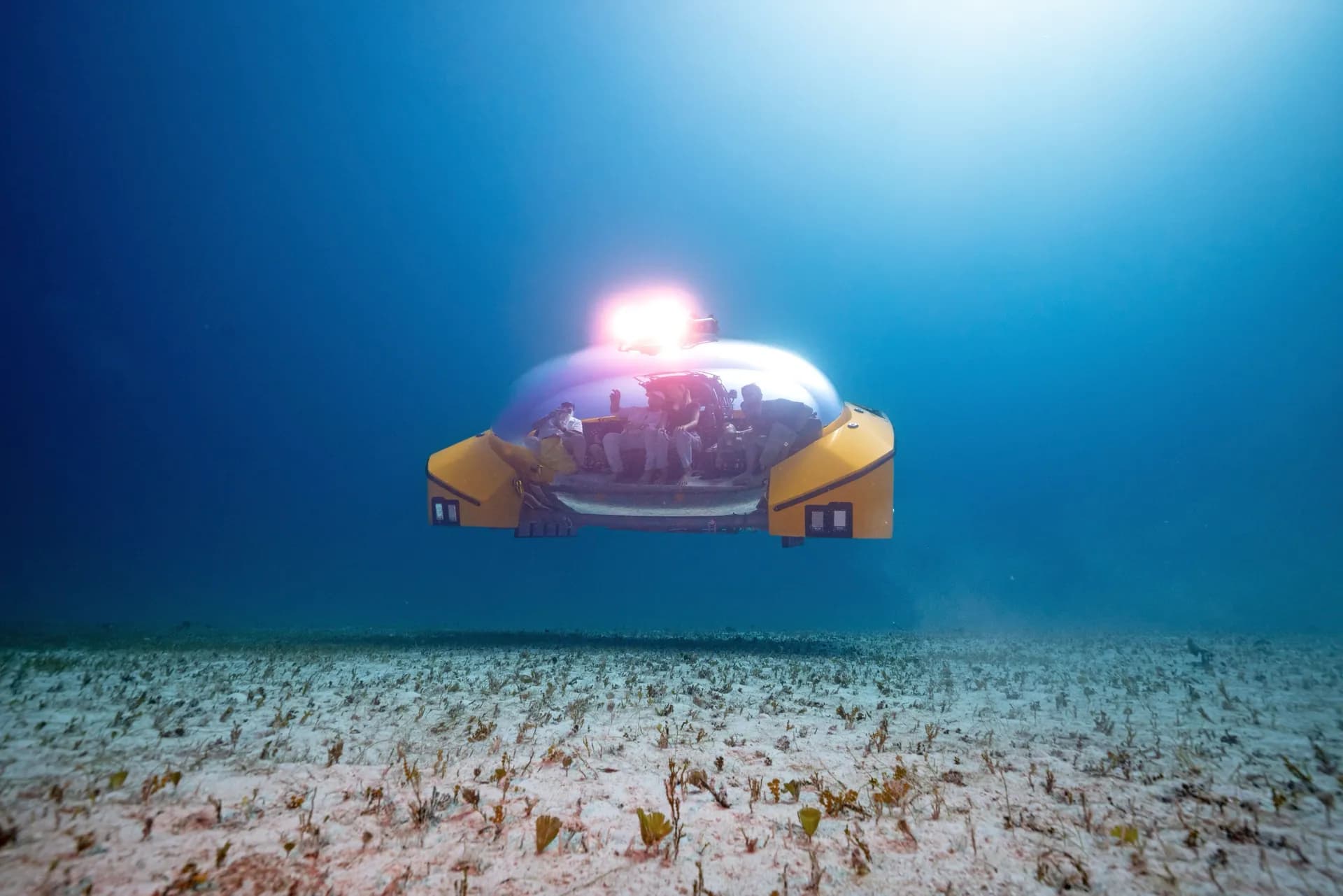 Scenic Neptune 風景海王星 1